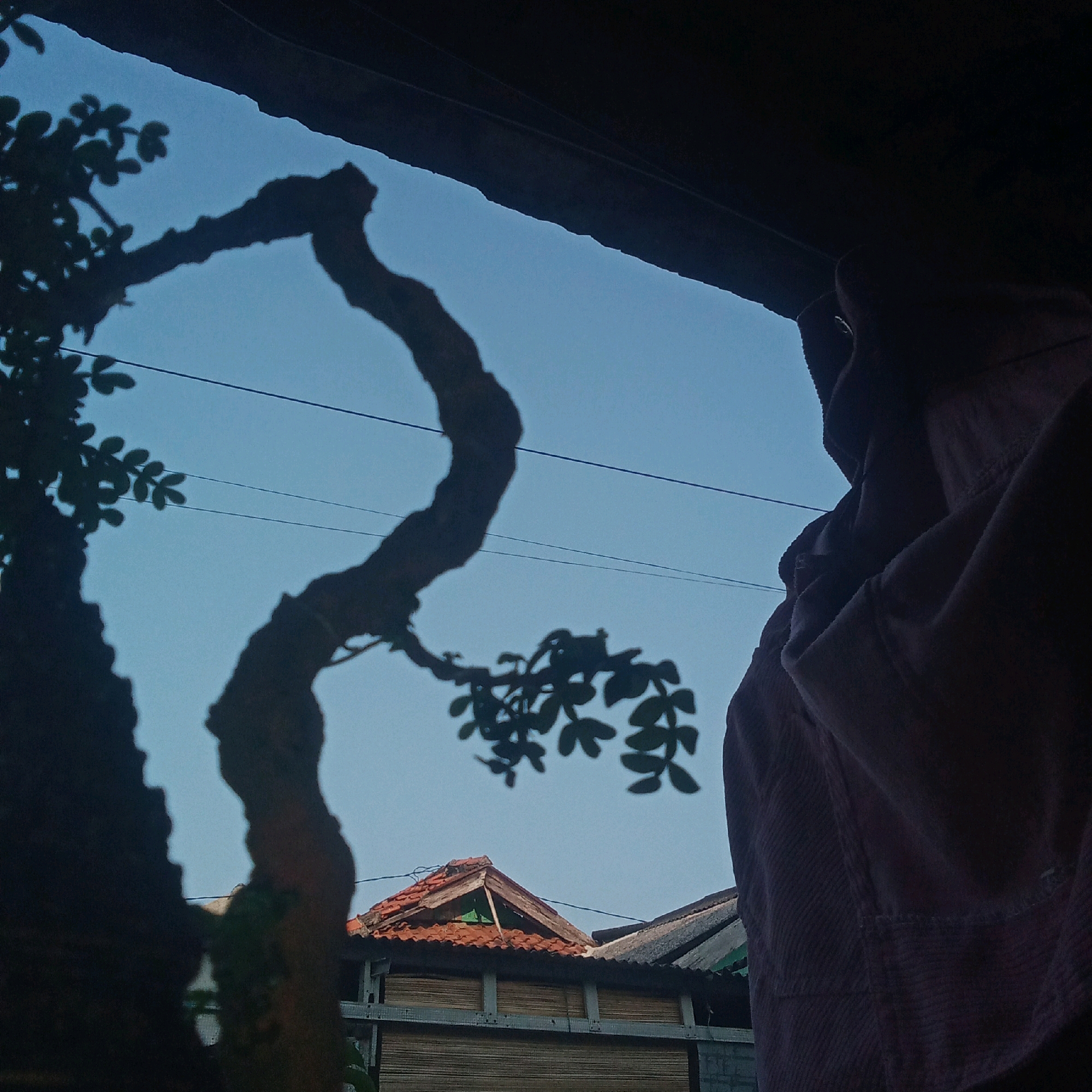 The image captures a view of the sky with silhouettes of tree branches and a portion of a draped garment in the foreground. In the background, the roofs of several houses with orange tiles and corrugated metal are visible, suggesting an urban or semi-urban environment. The clear sky indicates daytime. The overall composition is dark with strong shadows, possibly taken from inside a structure looking outwards. The context of Karawang, Indonesia, implies this scene is part of the local landscape.