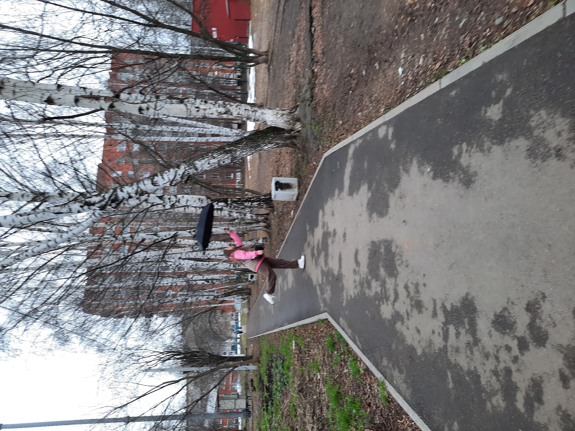 A person in a pink jacket and brown pants is walking on a gray concrete sidewalk in Izhevsk, Russia. The sidewalk has dark patches, indicating it is wet. The person is holding a black umbrella. Beside the sidewalk is an area of brown dirt with sparse green vegetation. In the background, there are birch trees with white bark and bare branches. Behind the trees are several multi-story red brick buildings. The sky is overcast.