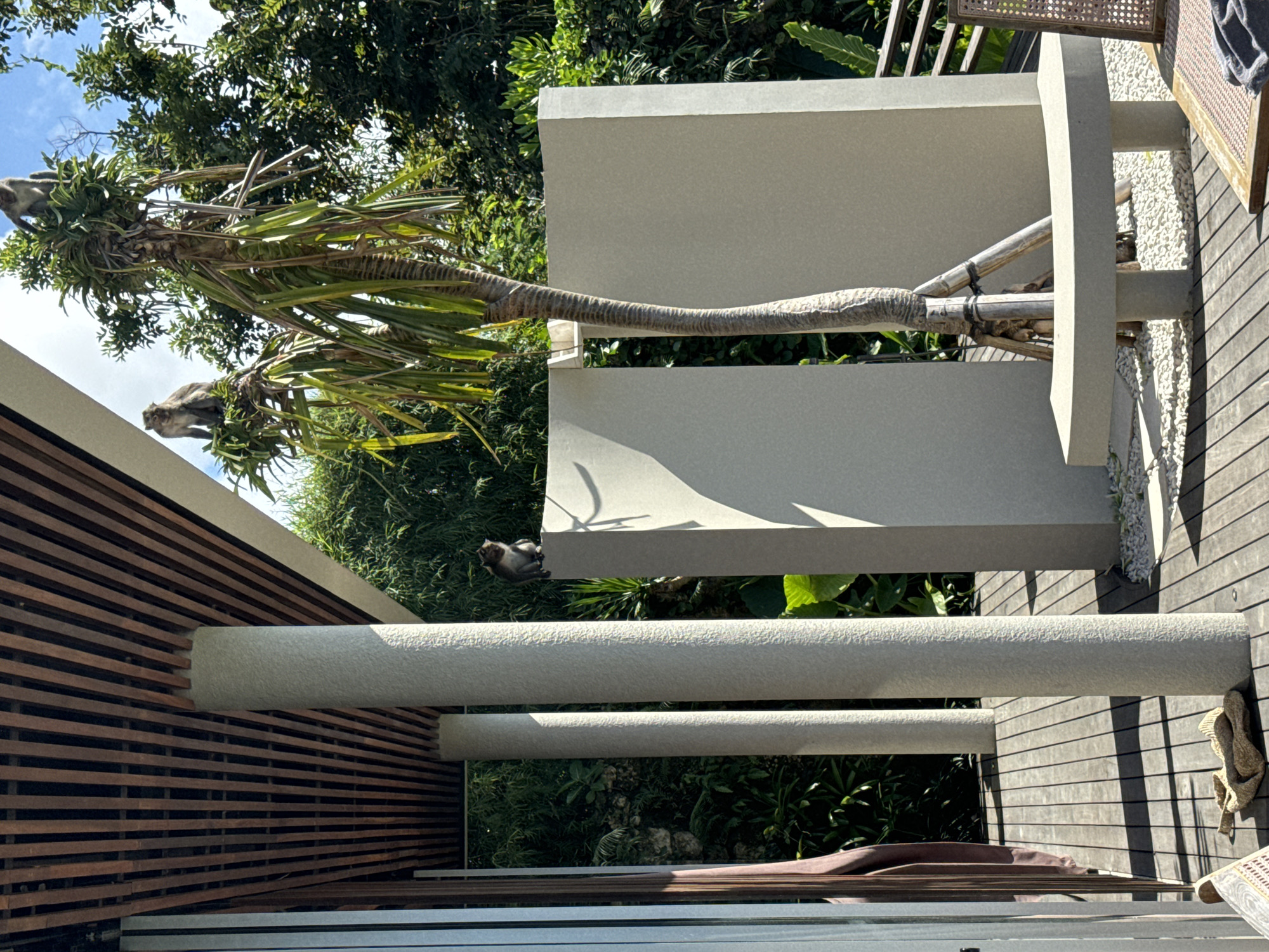 The image shows a tree extending from a building's roof in Kuta Selatan, Indonesia. Two monkeys are perched atop the tree. The building has a wooden exterior and a flat roof. A deck with wooden planks is visible, along with white gravel and greenery. An outdoor seating area with a beige structure and additional plants are nearby.
