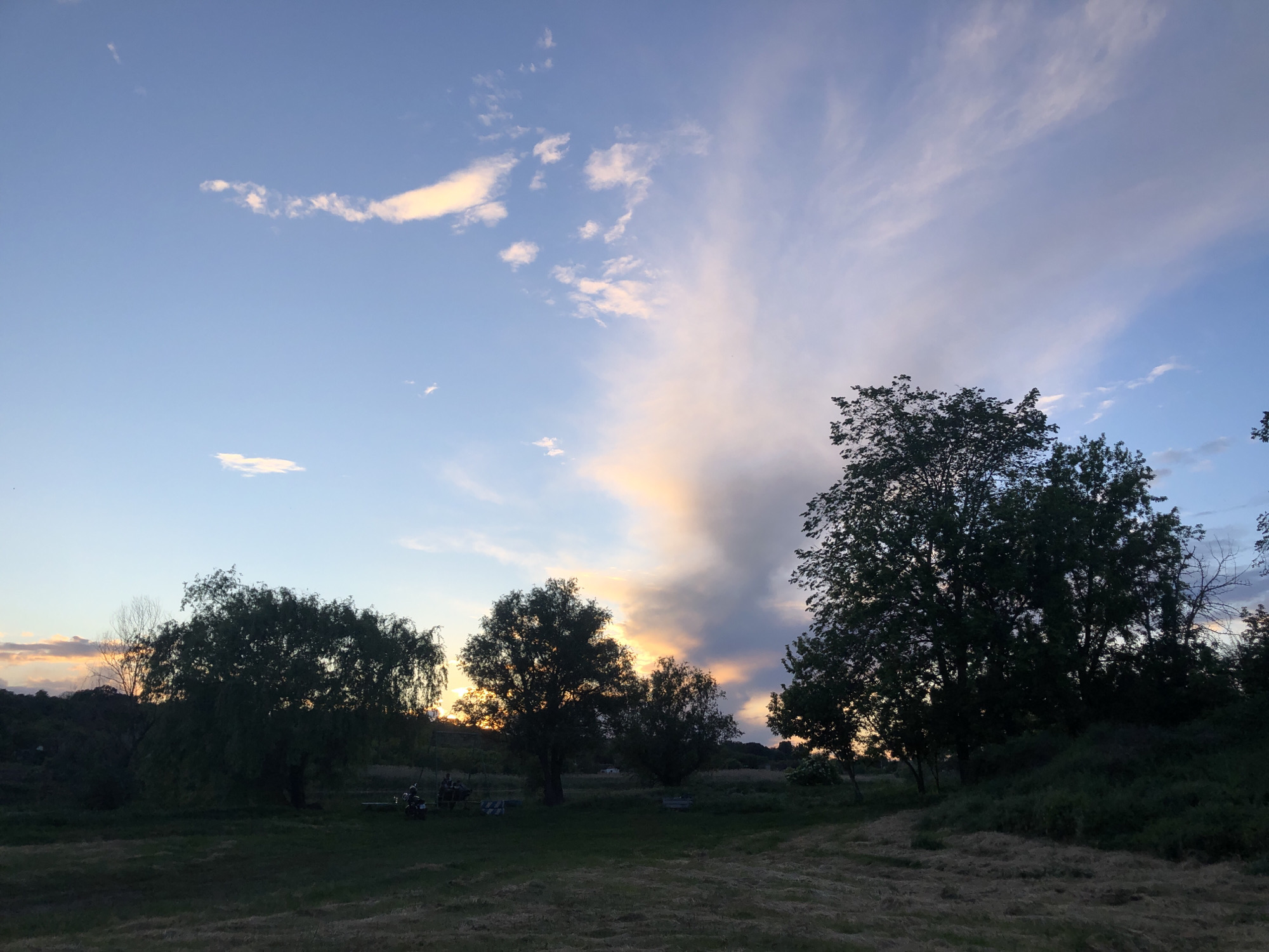 The image presents a rural scene at dusk. In the foreground, there's a grassy field with scattered trees silhouetted against the setting sun. The sky displays a mix of blue and cloud formations with a large, column-like cloud formation tinted with orange light, suggesting the sun is either setting or has just set.
Although the image is taken in a rural area, there are no clear, distinct identifying features to determine if the location is specifically Ustyvytsia, Ukraine. No people are visible.