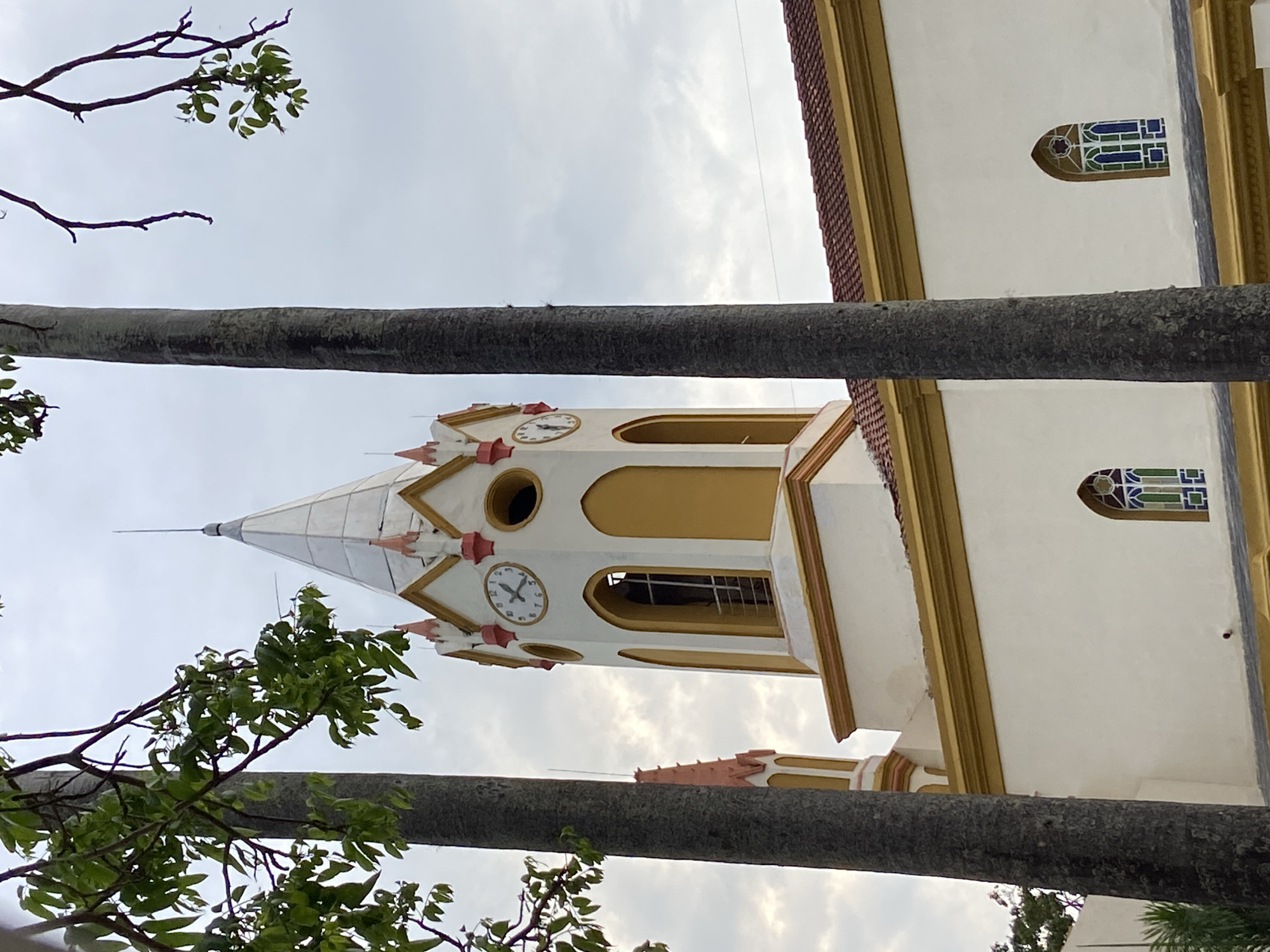 An image, oriented vertically, captures a portion of a white church building with a prominent bell tower and parts of large tree trunks, set against an overcast sky.
The central subject is the church tower, which is predominantly white with striking golden trim and reddish-pink decorative elements. The tower features at least two visible clock faces, one clearly showing the time as approximately 10:30 or 10:45. Arched openings, possibly for bells, are also visible. The tower culminates in a pointed steeple topped with a slender metal spire. To the right of the tower, the main body of the church building is visible, also white with golden accents and reddish-brown roof tiles or decorative trim. Several distinctive stained-glass windows, featuring blue and green geometric patterns, are set into arched, somewhat trefoil-shaped frames.
Two large, dark, and straight tree trunks, likely from palm trees, frame the scene on the left and right, partially obscuring the building. Green foliage from other trees or branches is visible in the upper left and lower right corners.
The sky is a uniform light grey, indicating overcast weather conditions. The time of day appears to be late morning, as suggested by the clocks on the tower. The architecture of the church, with its distinct tower and stained glass, suggests a traditional religious structure in Tinaquillo, Venezuela. No people or specific events are depicted; it is a static architectural and natural landscape scene.