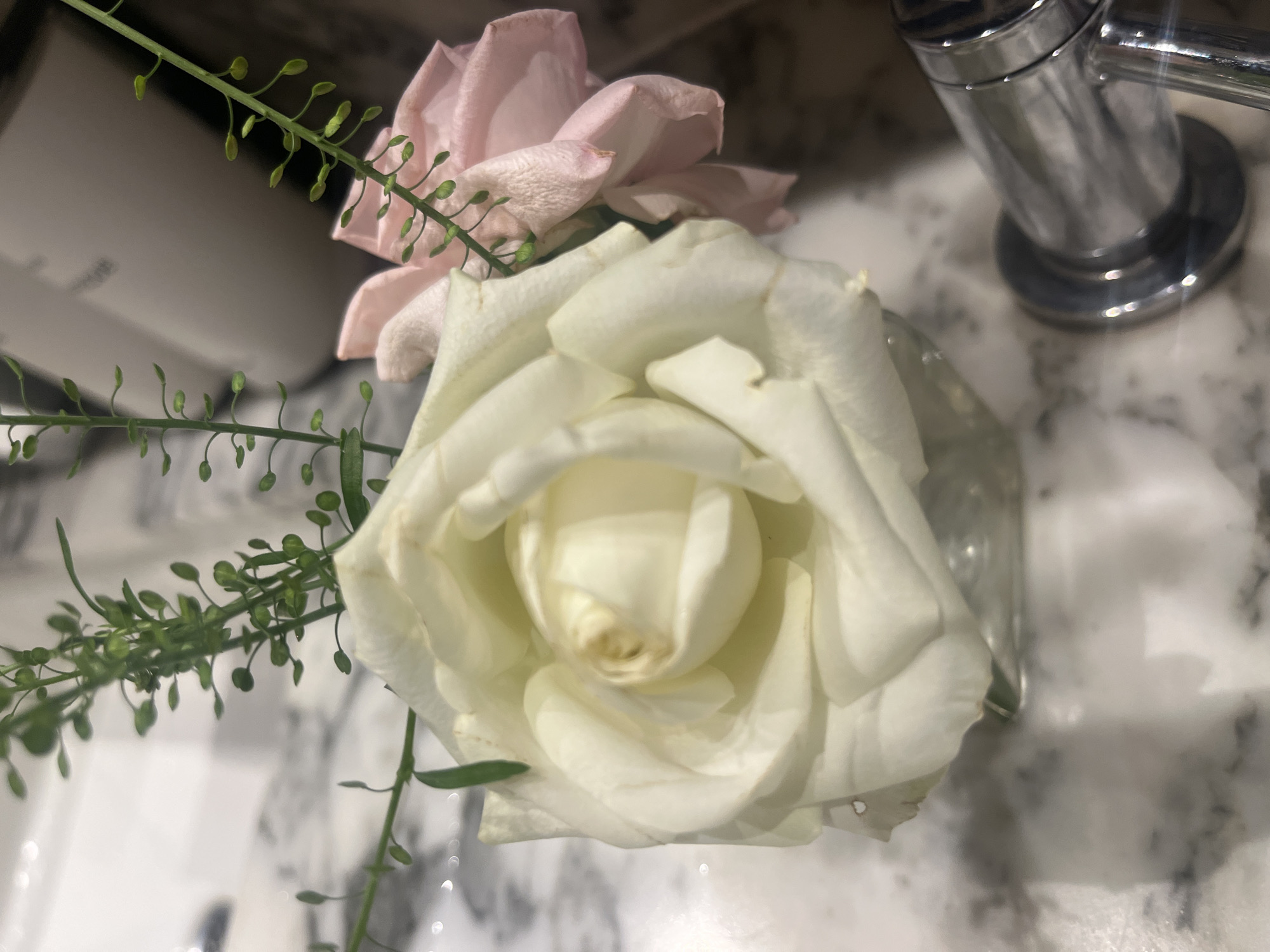 A close-up shot focuses on a bouquet of roses and greenery in a clear glass vase. The primary subject is a large, creamy white rose, its petals unfurling inward to reveal a tightly wound center. To its right, a pale pink rose, slightly wilted, peeks into the frame. Thin, green sprigs with small buds are interspersed among the flowers, adding a delicate contrast. The roses are arranged on a speckled, marble-like surface, likely a countertop. In the foreground, a portion of a polished chrome faucet is visible, suggesting the bouquet is placed in a bathroom or kitchen setting. The background is softly blurred, with hints of white and grey that could be bathroom tiles or other household elements. There is no indication of the city of Nha Trang, Vietnam in the image.