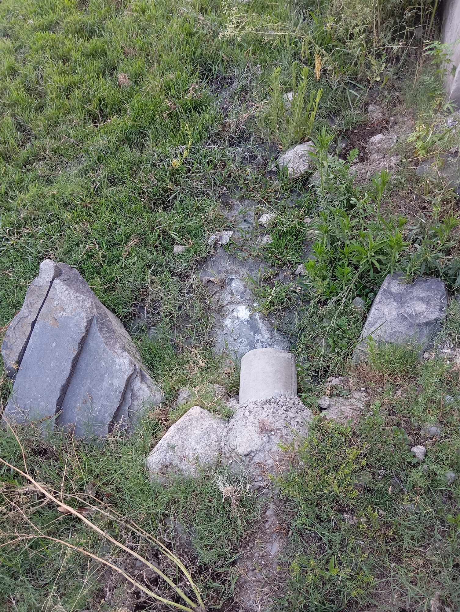 In Hakale, Pakistan, an outdoor scene is depicted with a focus on a broken pipe and surrounding vegetation. The pipe, made of concrete and showing signs of wear and tear, lies partially exposed amidst tall green grass and scattered grey rocks. The terrain appears unkempt, suggesting a rural or undeveloped area within the city. The lighting indicates it is daytime, with shadows cast by the objects and vegetation. There are no people or animals visible in the image, and no specific actions or interactions are evident. The overall impression is one of neglect and natural overgrowth.