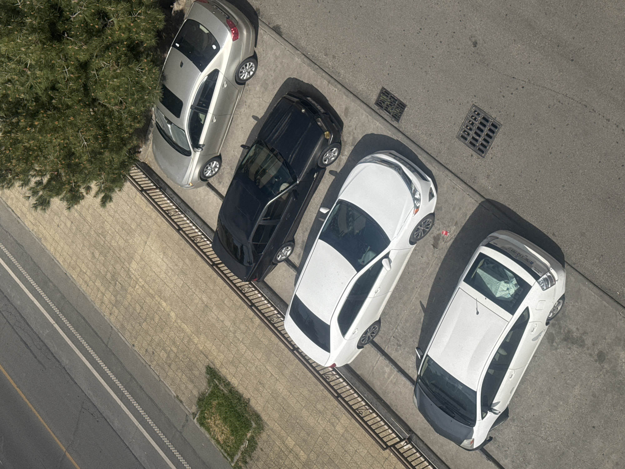 An aerial view depicts four parked cars on a sidewalk in Tbilisi, Georgia. From left to right, the cars are silver, black, white, and a two-toned white and gray car. The sidewalk is tiled with a patterned gray and tan design. A drainage grate is present on the adjacent road, which is asphalt with a white line dividing it from the sidewalk. A small tree and a patch of grass are present near the silver car. The vehicles appear to be parked legally.