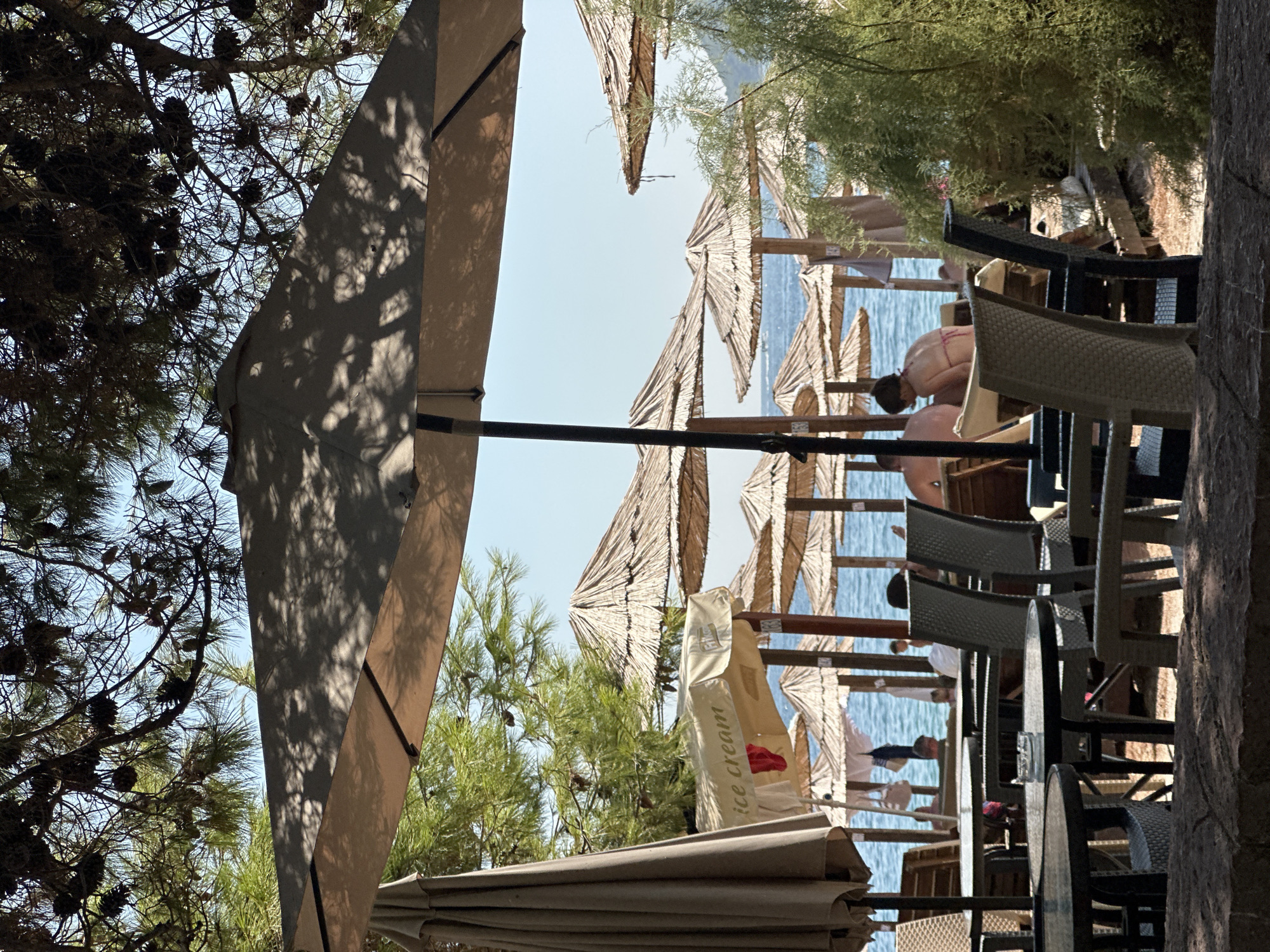 The image captures a beach scene in Budva, Montenegro, likely during daytime given the bright sunlight and shadows. In the foreground, several outdoor tables and chairs are visible, suggesting a cafe or restaurant setting. One table has an ashtray on it. Behind these tables, a series of thatched umbrellas line the beach, providing shade to beachgoers. The sea is visible in the background, with calm waters and a clear sky. There are several people scattered on the beach, some sitting under umbrellas, others appearing to be walking or relaxing. Pine trees with cones overhang the scene from above, casting dappled shadows. The overall impression is one of a relaxed, sunny day at a coastal resort.