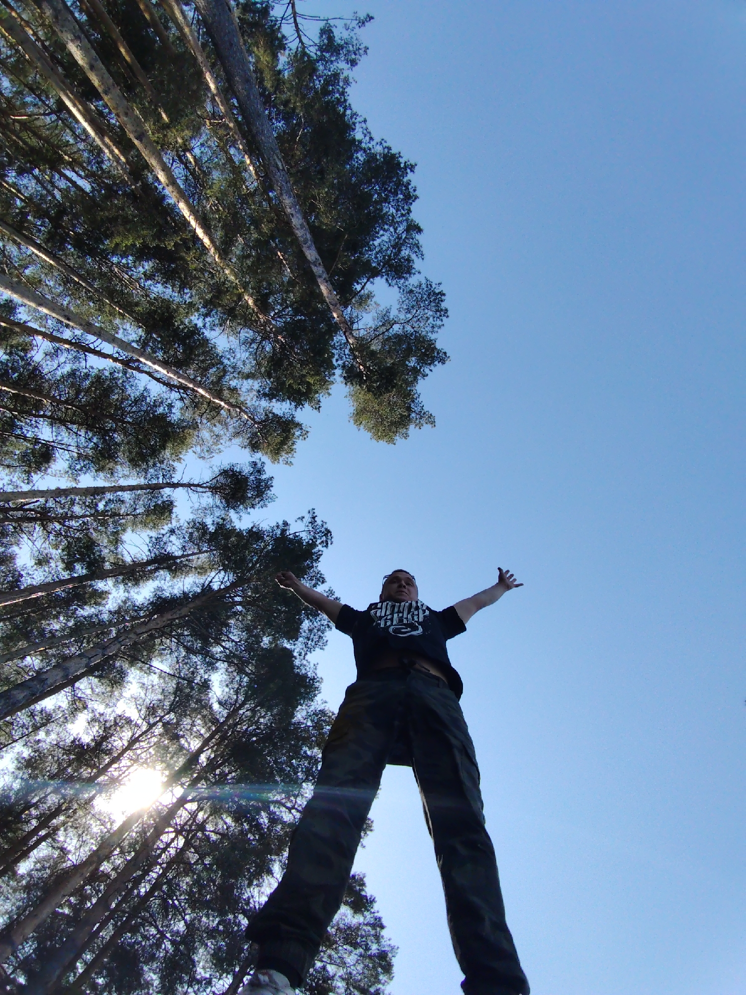 A low-angle shot shows a person standing with arms outstretched, positioned against a backdrop of tall trees reaching towards a clear, blue sky. The trees are densely packed, with sunlight filtering through the branches, creating a contrast between light and shadow. The person is wearing a dark t-shirt and pants. The location is Chaikovsky, Russia.