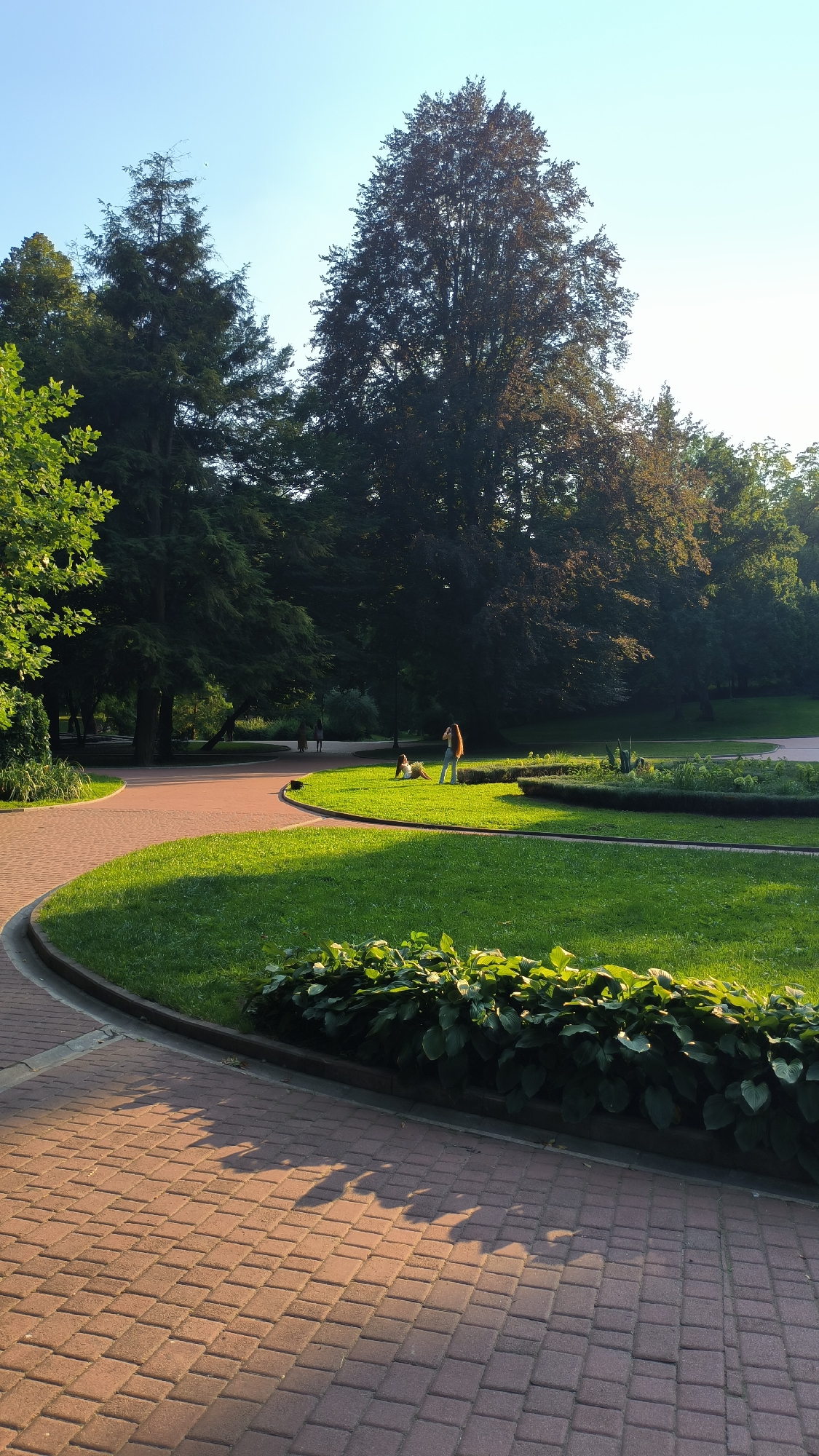 The image depicts a park scene in Lviv, Ukraine, under a clear blue sky. In the foreground, a red brick pathway curves around a lush green lawn. The pathway exhibits distinct shadow patterns, suggesting the sun is at a low angle, likely morning or late afternoon. A border of dense, dark green foliage lines the edge of the grass next to the pathway.
Further into the park, the lawn is dotted with several figures. One individual, wearing a light-colored top and jeans, stands and appears to be taking a picture with their phone. Nearby, another person sits on the grass. A few other indistinct figures are visible in the background, walking along another path amidst the trees.
The park is characterized by mature trees with dark green foliage, creating a shaded canopy in the background. A large, broad tree with a dark, dense crown dominates the middle ground to the right. The overall atmosphere is serene and tranquil, with the natural elements of the park being the primary focus.