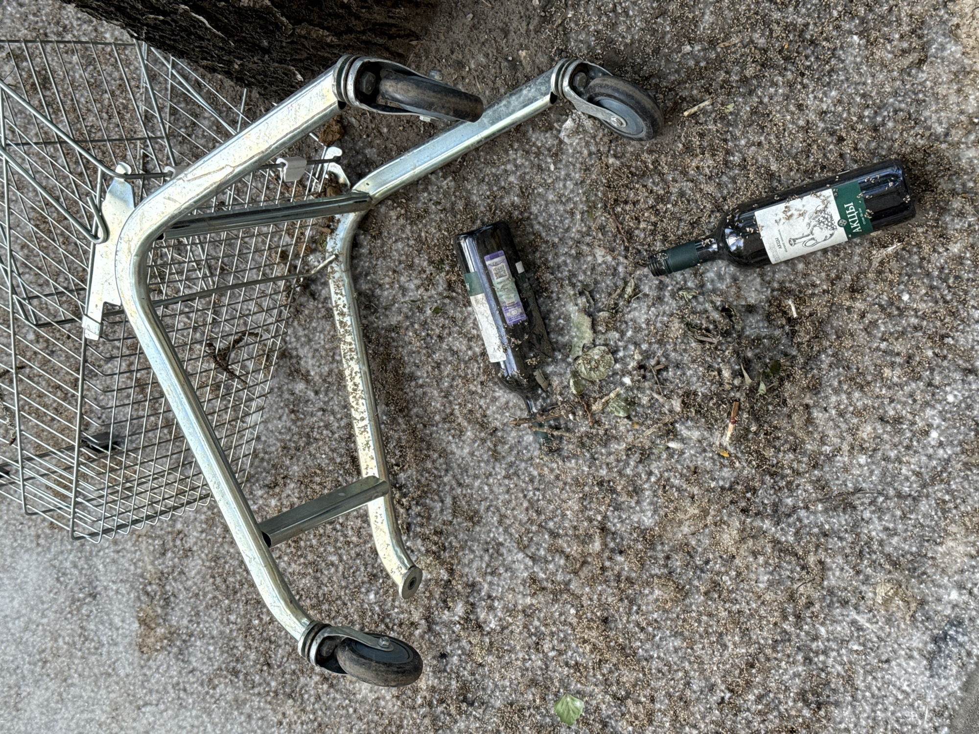 The original image captures an outdoor scene in Moscow, Russia, depicting discarded items on a ground heavily blanketed with white poplar fluff.
A silver-colored metal shopping trolley lies on its side in the left half of the frame, showing its wire mesh basket and two wheels. Its metallic surface reflects the bright daylight.
To the right of the trolley, two glass bottles are visible. One is a dark green wine bottle with a white label. The label features a graphic of grapevines and leaves, along with prominent Cyrillic text reading "АКЦИИ" (AKTSII, meaning "promotions" or "sales") and "АЛЛЕИ" (ALLEI, meaning "avenues" or "alleys"). The second bottle, darker and positioned closer to the trolley's wheels, also has a label, but its text is largely obscured by dirt and the surrounding fluff. Both bottles appear to be empty.
The ground surface is a mixture of dirt and a thick, uniform layer of white, cotton-like poplar fluff, indicating late spring or early summer weather conditions in the city. Small pieces of debris and dried leaves are scattered within the fluff. A dark, rough surface, possibly a tree trunk or a wall, is visible along the top edge of the image. The scene is illuminated by natural daylight, suggesting a clear day. No human presence or activity is depicted, conveying a sense of neglect or urban abandonment.