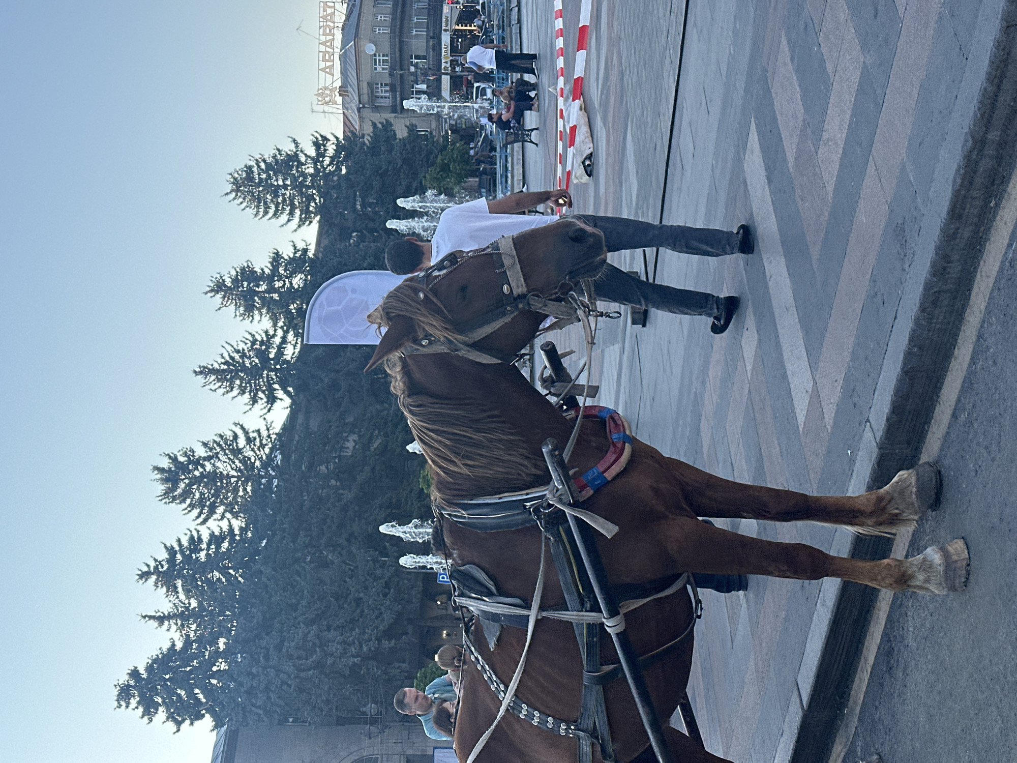 In the foreground of the image, a brown horse with a harness is positioned to the left, its head facing right. Behind the horse, a man in a light blue shirt is interacting with a child. To the right of the horse, a man in a white t-shirt and dark pants is walking away from the camera. In the background, several trees are visible, followed by a building with a sign that reads "ARARAT". There are also fountains and people sitting on benches in the distance, suggesting a public square. The scene appears to be in the city of Gyumri, Armenia.