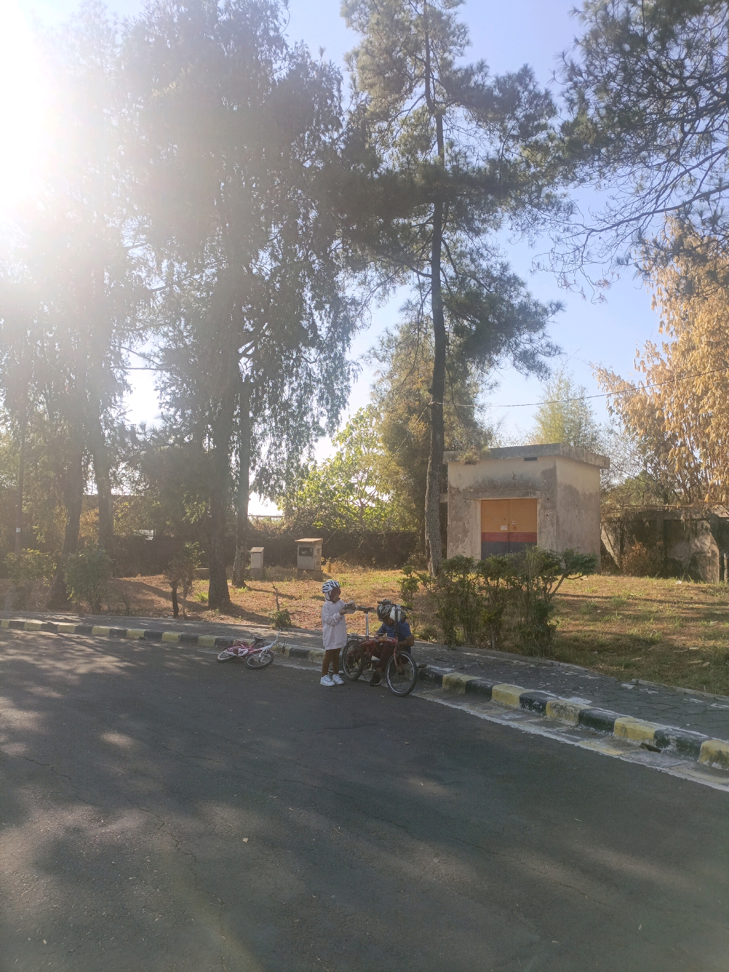 In the city of Batu, Indonesia, two individuals, one wearing a light-colored shirt and helmet and the other wearing a blue shirt and helmet, are interacting next to bicycles on a paved road. A pink bicycle lies on its side near a curb. The environment includes tall trees, a small concrete building with a yellow and red door, and dry grass. The sun is shining brightly, casting shadows.