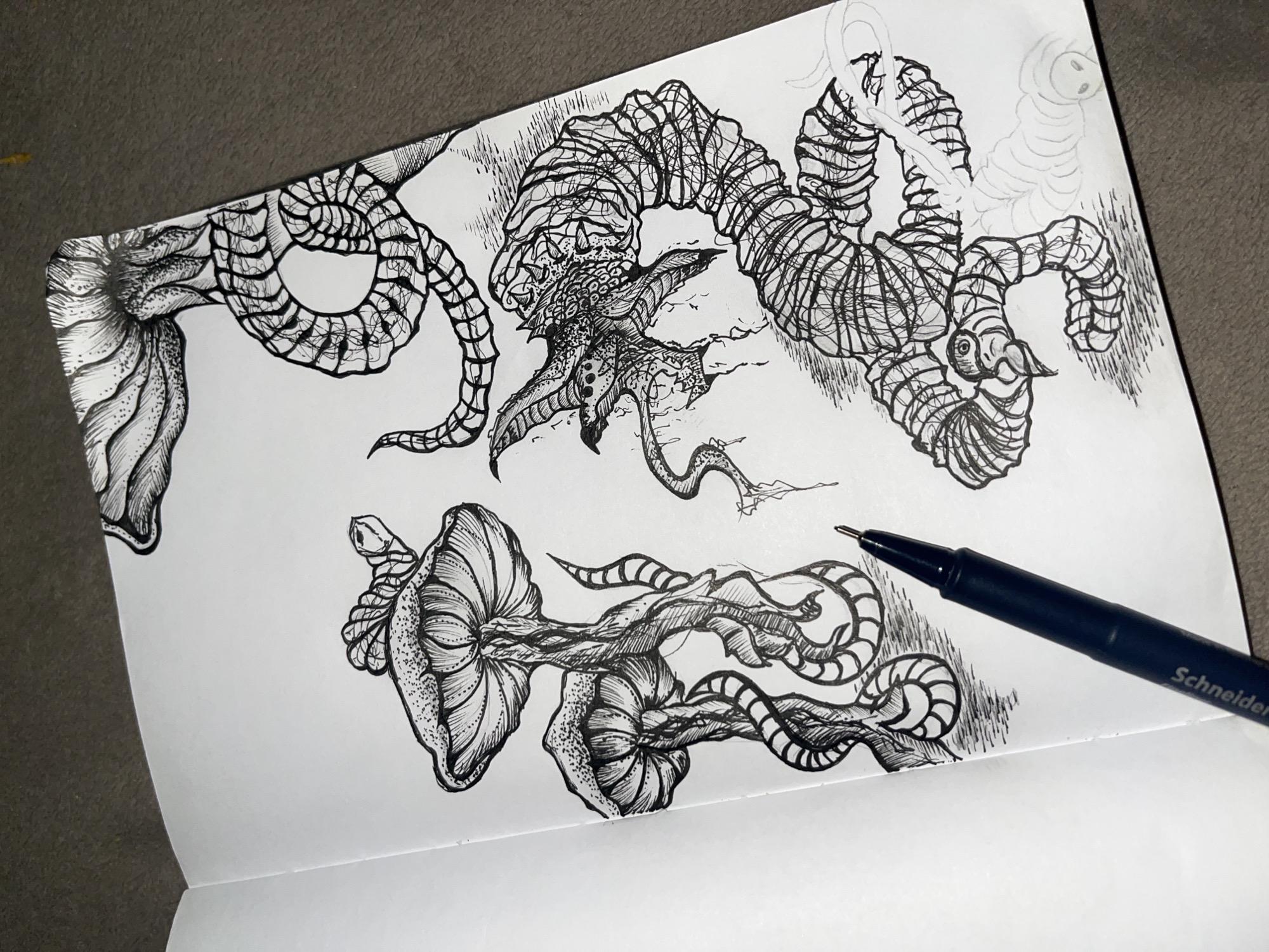 The image shows a sketchbook lying open on a grey surface. The sketchbook contains pen and ink drawings of surreal creatures with bulbous, mushroom-like bodies and segmented, worm-like appendages. A black "Schneider" brand pen rests on the right page, near the bottom right corner of the drawings. There are no people visible. The location is not depicted, and there is no indication that it is Sofia, Bulgaria.