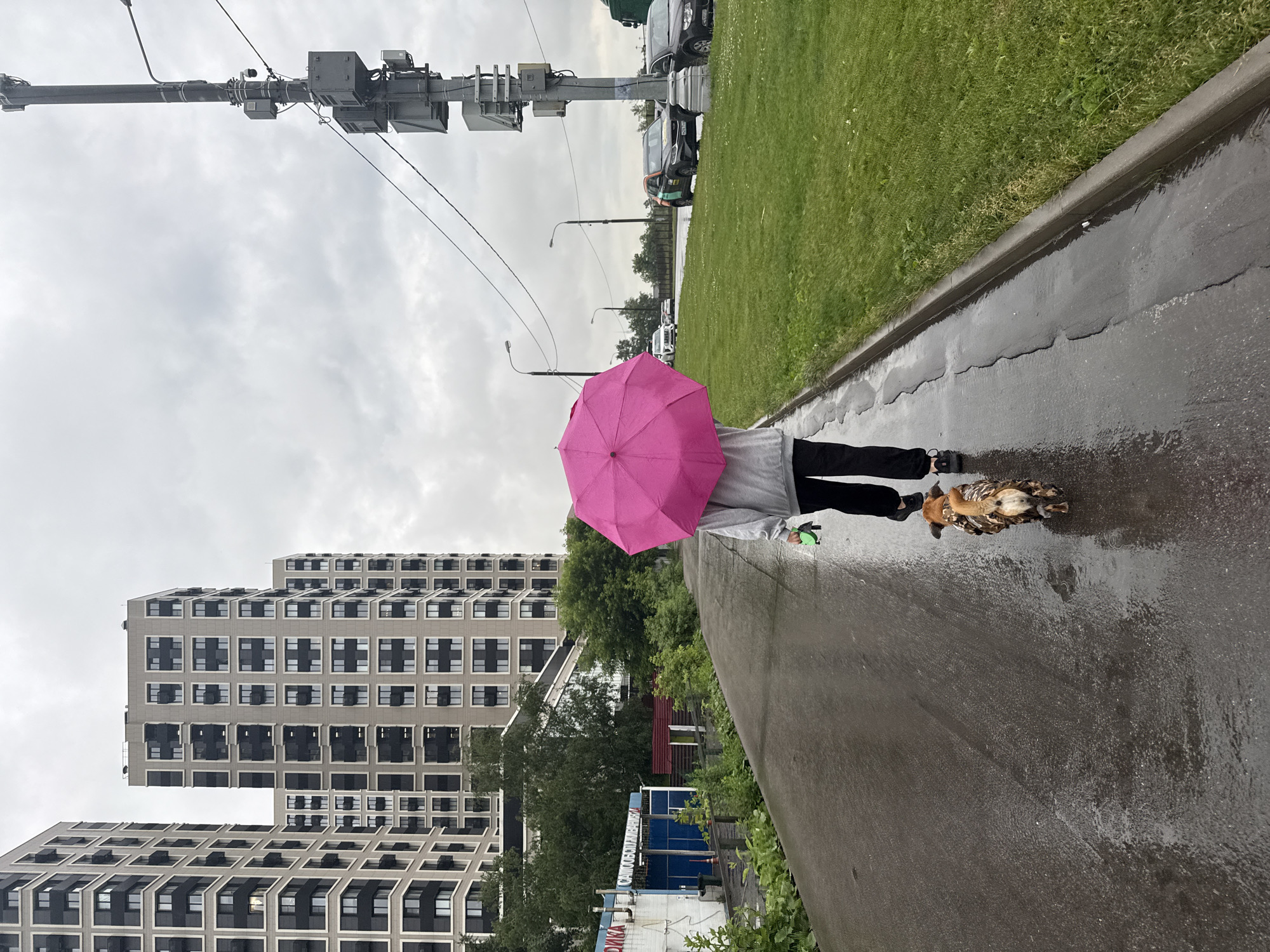 The image depicts a person walking a dog on a wet asphalt path beside a grassy area in Moscow, Russia. The person, viewed from behind, holds a bright pink umbrella and wears a grey hooded sweatshirt and black pants. The dog, small and brown with a patterned coat, walks ahead of the person, appearing wet. The path is reflective due to rain. To the left of the path are multi-story apartment buildings with a distinctive grid-like facade of windows and dark panels. Some trees and greenery are visible between the buildings and the path. To the right of the grassy area, a road with several cars and a tall utility pole with attached equipment are present. The sky is overcast and cloudy, typical of a rainy day. The overall scene suggests an urban residential environment.