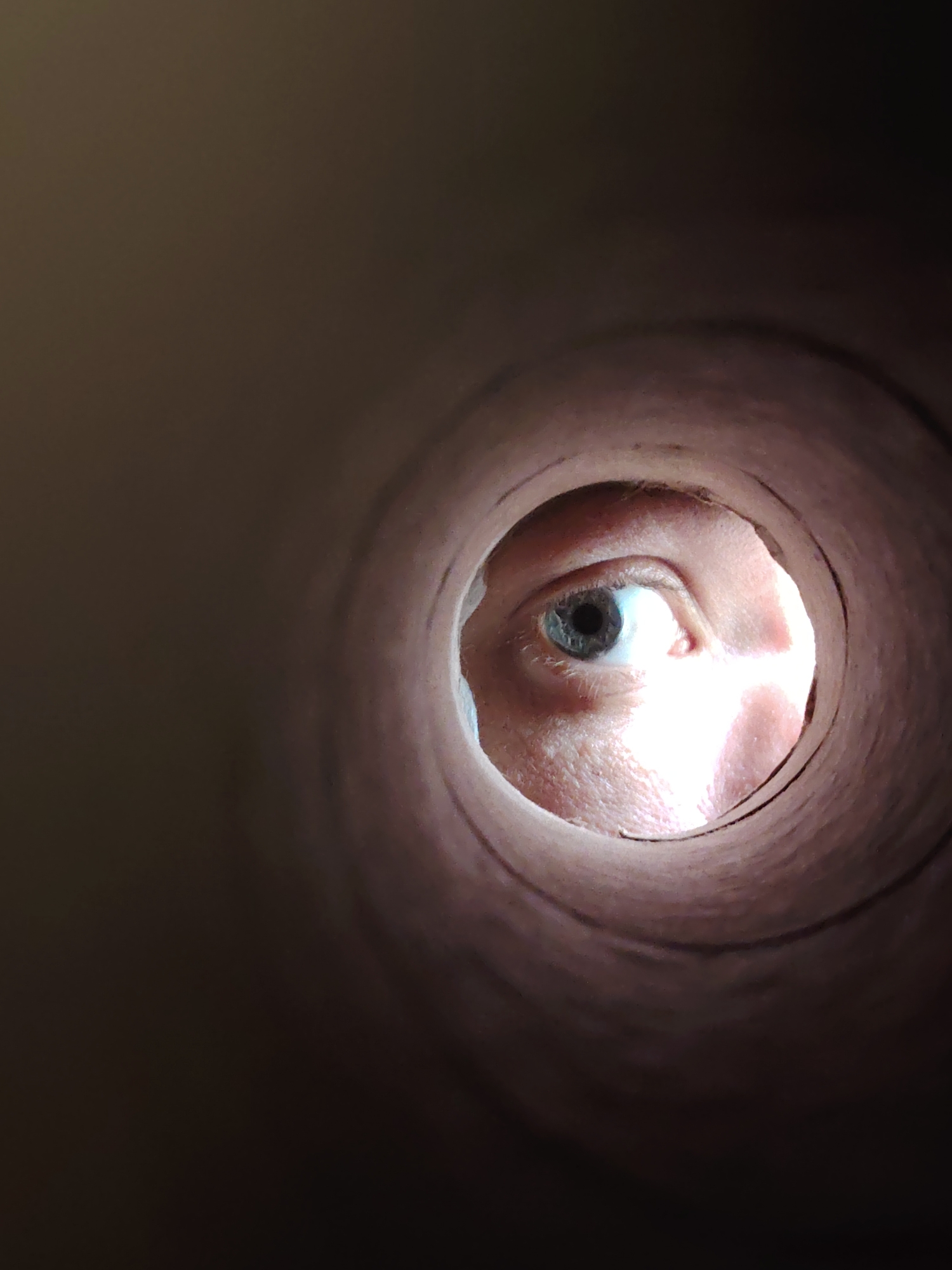 A close-up image displays a human eye peering through the circular opening of a light brown, textured cylindrical object, resembling a cardboard tube. The perspective is from within the tube, looking out at the eye, which occupies the central portion of the frame visible through the opening. The eye features a light blue-grey iris and a dark, centrally located pupil. The skin surrounding the eye is light-toned, showing minor texture and a subtle reddish hue near the inner corner. Eyelashes are visible along the upper lid. Bright light illuminates the eye and the immediate interior of the tube, creating a strong contrast with the predominantly dark, uniform background that fills the space outside the tube's circumference. This scene is located in the city of Chaikovsky, Russia.
