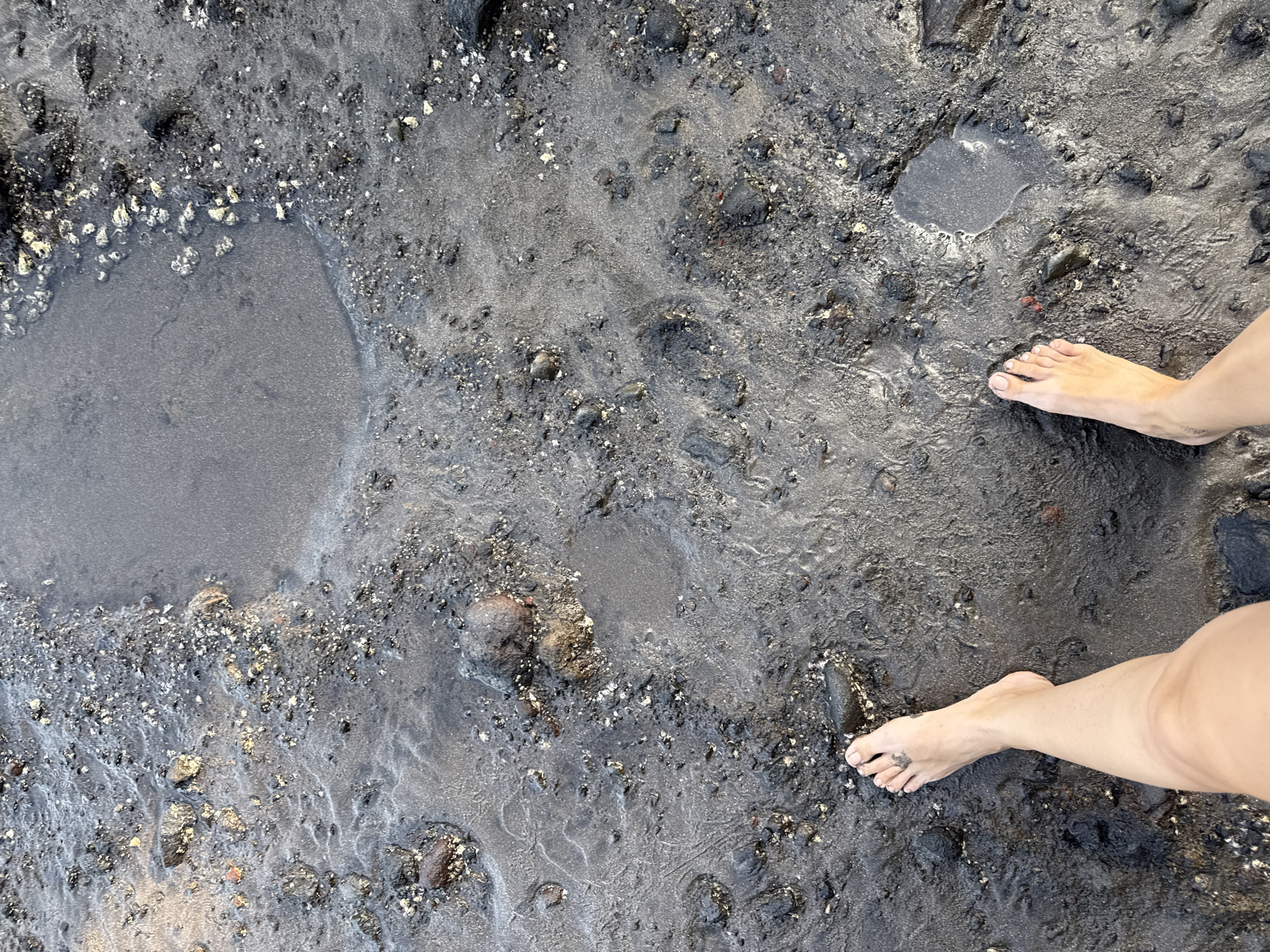 The image shows a pair of bare feet standing on a muddy or wet, dark-colored terrain. The texture of the ground varies, with areas of smooth, pooled liquid and sections with small rocks and particles. The background is out of focus, with no distinct landmarks visible to suggest a city or specific location. The lighting appears soft and diffused. There are no other people or subjects visible in the scene. The action depicted is simply standing.