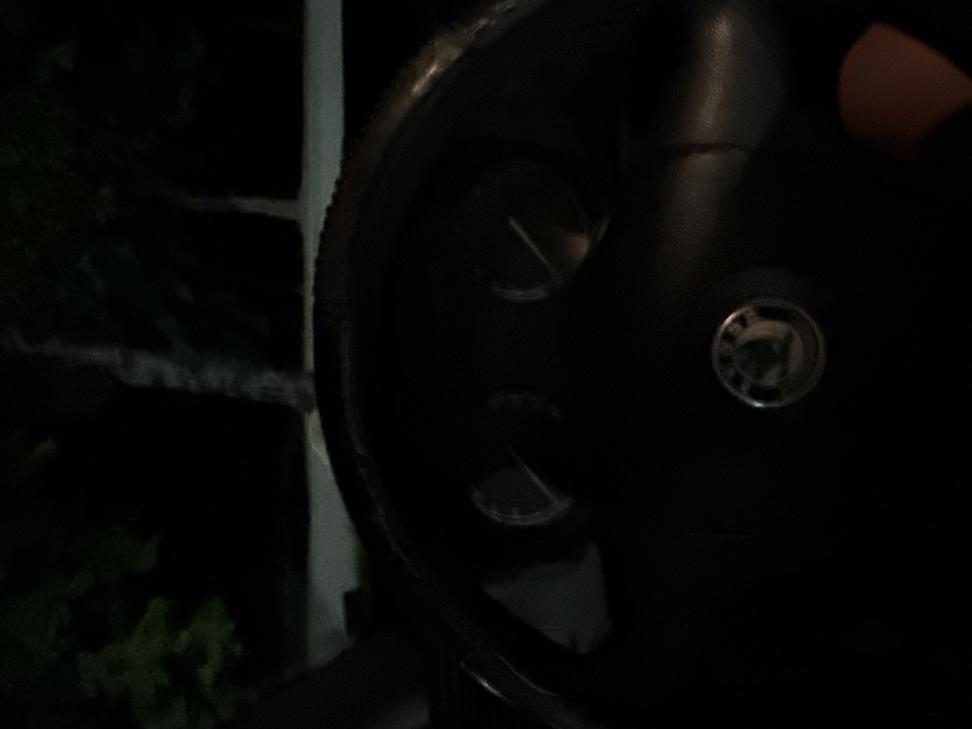 The image shows the interior of a car at night, likely in the city of Pleven, Bulgaria. The steering wheel, dashboard, and part of the driver's side window are visible. Through the window, trees and a dark sky are apparent, suggesting an outdoor setting, possibly near a park or residential area. The car's interior is dimly lit, with the dashboard instruments faintly illuminated. The Skoda logo is visible on the steering wheel. There are no people clearly visible in the image. The scene appears to be stationary, implying the car is parked or stopped.