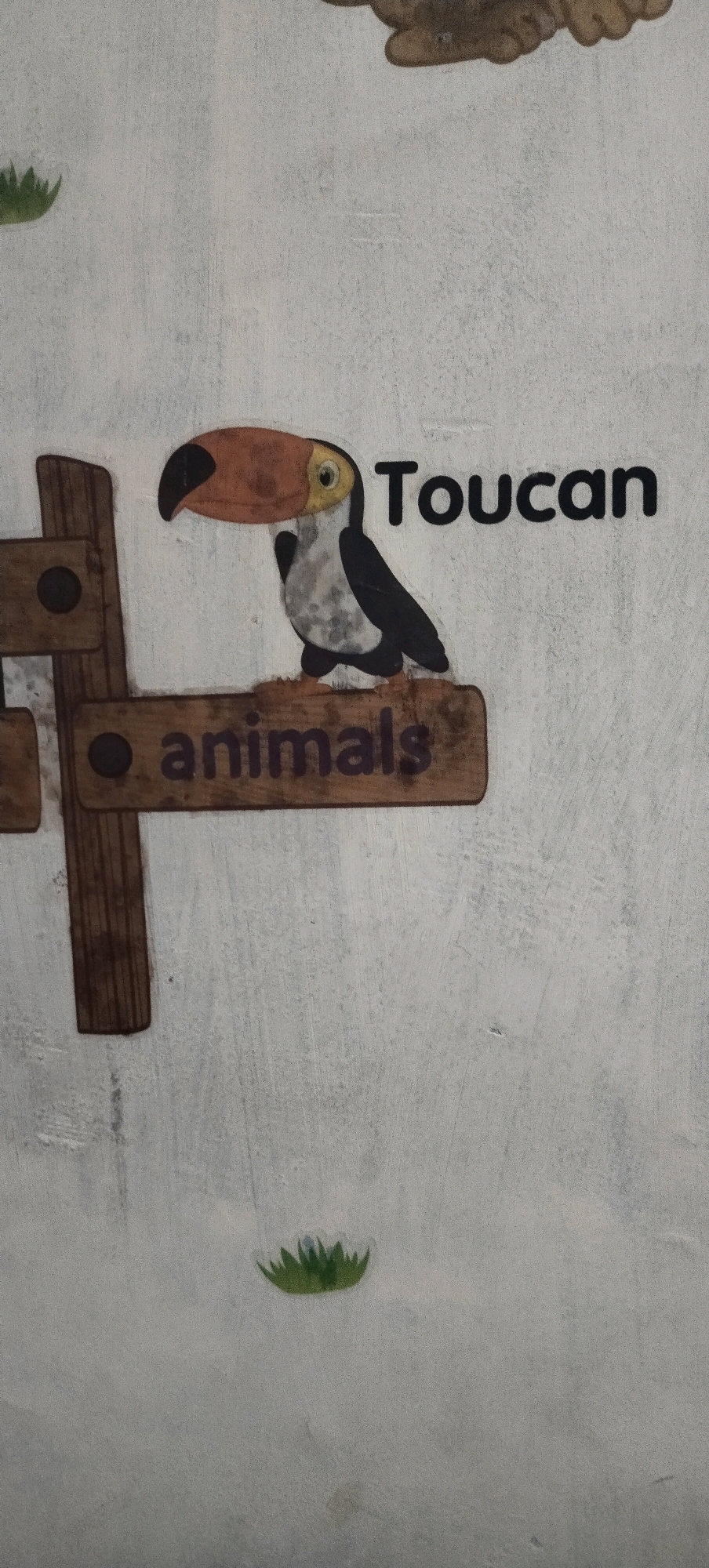 A toucan sticker is adhered to a white, textured wall, to the left of which is a wooden signpost. The toucan is depicted with a large orange beak and black and white plumage. The wooden signpost has two horizontal planks; the upper plank has a circular indentation and the toucan is perched on the lower plank. The lower plank has the word "animals" written in purple letters, preceded by a black circular dot. Above the toucan, the word "Toucan" is printed in black, block letters. There are small green grass stickers visible on the wall in the lower portion of the image. The image is shot from a slightly upward angle.