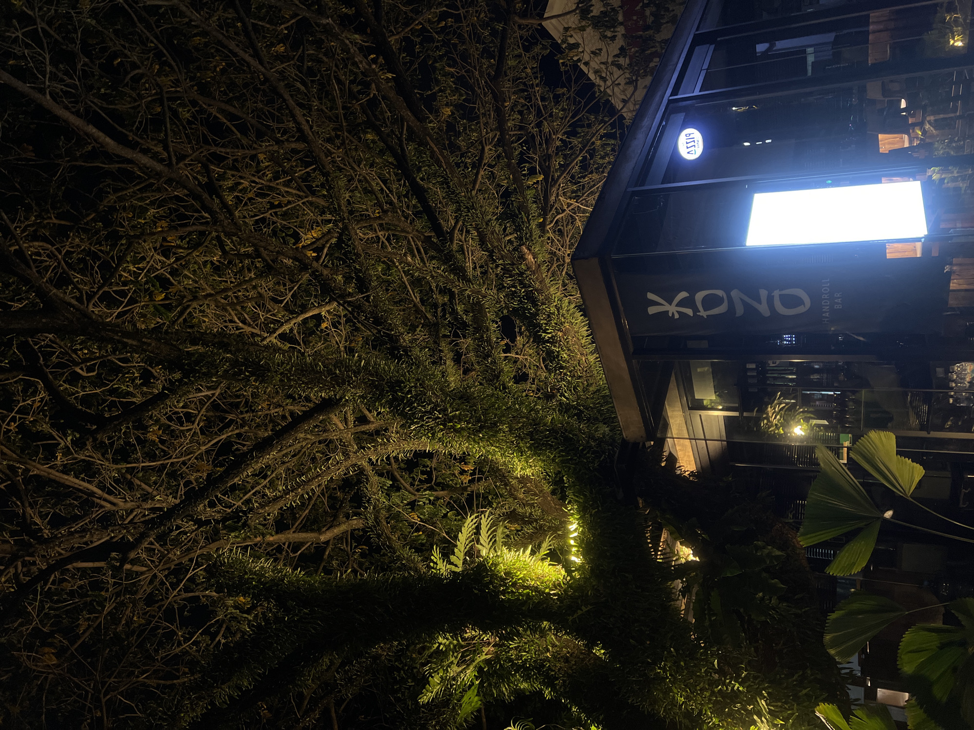 An outdoor shot at night showcases a modern, glass-fronted building with a sign that reads "KONO HANDROLL BAR". The building is situated beneath a large, sprawling tree whose branches, illuminated by warm, yellow lights, create a dramatic, almost spooky silhouette against the dark sky. Large, fan-shaped leaves are visible in the foreground, adding to the tropical ambiance. A circular sign with "ASS19" is visible on the building's exterior. The scene is dimly lit, with the artificial lights casting long shadows and highlighting the textured bark and dense foliage of the tree.