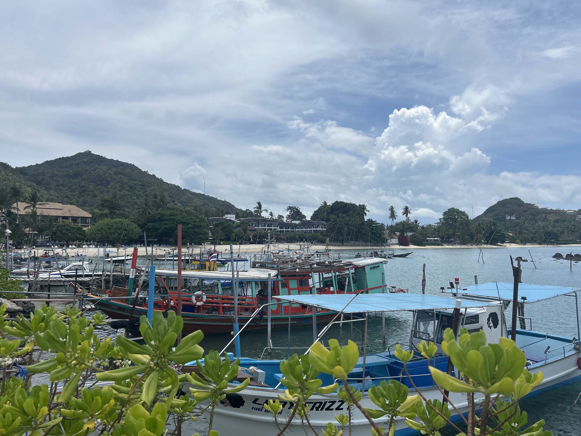 The image shows a waterfront scene in Baan Chaweng Noi, Thailand, featuring a harbor filled with numerous fishing boats docked along a pier. In the foreground, green foliage partially obscures the view of several boats, one of which has "LADY FRIZZ" written on its hull. Further back, several colorful wooden fishing boats are visible. A sandy beach stretches along the coastline, dotted with people and various structures, including buildings and palm trees. Hills rise in the background, covered with dense vegetation. The sky is overcast with a mix of gray and white clouds.
