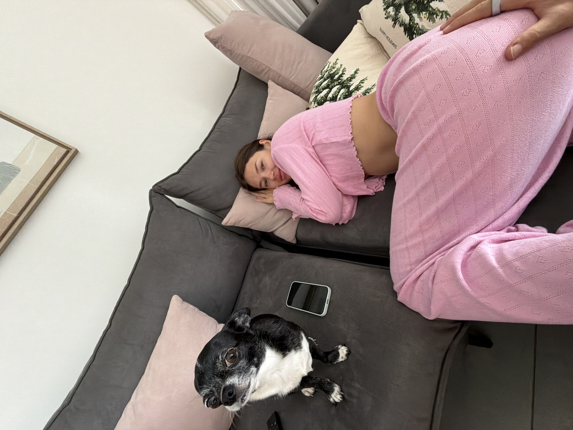 A woman in pink lies on a gray couch with pillows. A black and white dog sits on the couch next to her. A phone lies on the couch near the dog. A framed piece of art hangs on the wall. The location cannot be determined as Tel-Aviv, Israel, as there is no discernible evidence indicating that information.