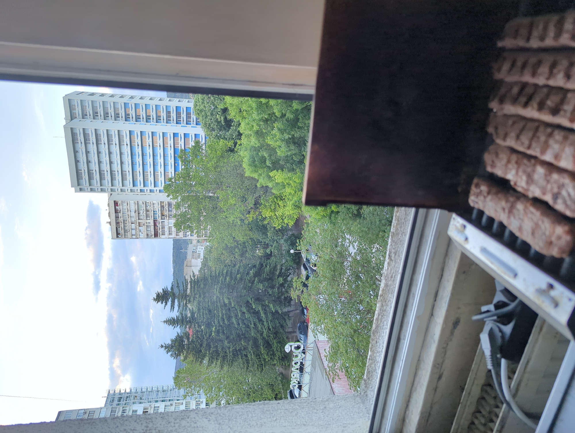 From an elevated vantage point (possibly a balcony or window), a view of Varna, Bulgaria is presented. In the foreground, a barbecue grill containing food is visible. Outside the window frame, the urban environment is characterized by tall apartment buildings. A large forest area is visible as well. The sky is partly cloudy, suggesting daylight hours.