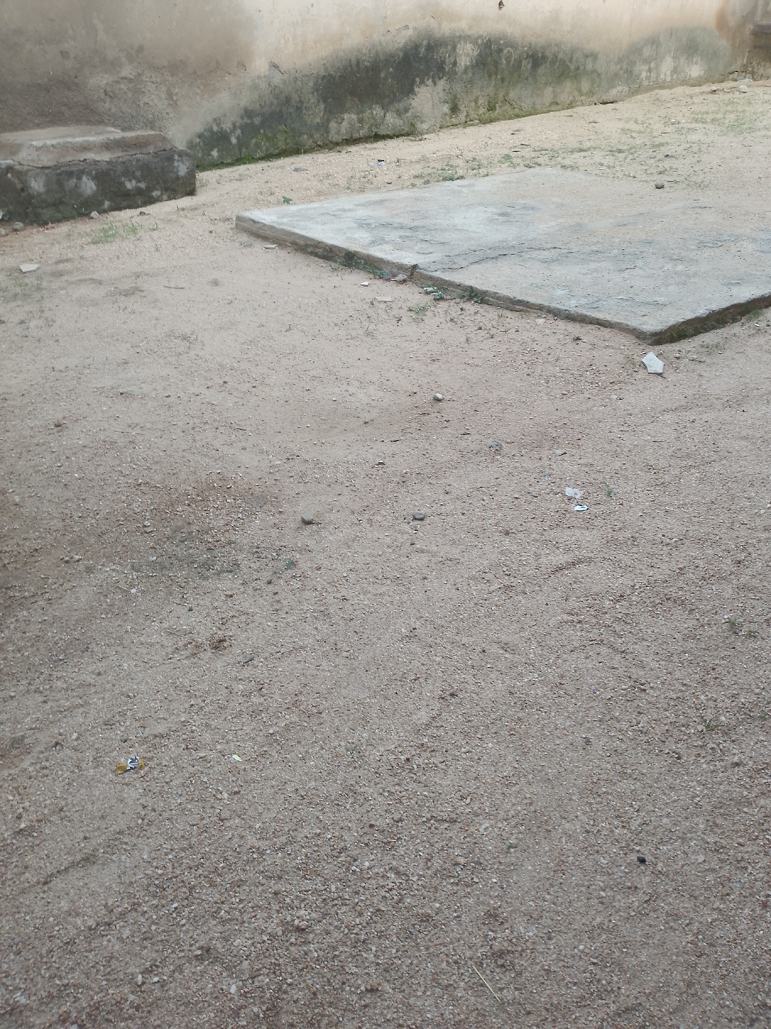 An outdoor scene shows a sandy ground with scattered small pebbles and debris. In the background, a concrete slab is partially visible, laid on the sandy surface, with some green vegetation growing around its edges. To the left, a rectangular concrete structure, possibly a raised planter or a foundation, is also present, showing signs of age and moss growth. The wall behind these structures appears to be a weathered, light-colored plaster, with dark stains indicating water damage and the presence of mold or algae. The overall environment suggests an undeveloped or neglected outdoor space in Jauro Yinu, Nigeria.