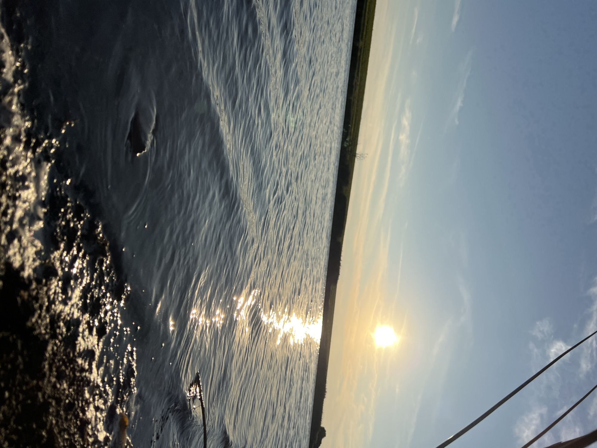 The image depicts a body of water with gentle waves, reflecting the warm glow of the setting sun. The sun is positioned high in the sky, slightly to the right of the frame, casting a bright, shimmering path across the water's surface. A thin strip of land with green vegetation forms the horizon line. The sky is a clear blue, with faint streaks of white clouds scattered across it. In the foreground, the edge of the water shows some debris, possibly small sticks and rocks. The scene appears to be located outdoors, possibly near a lake or river, in Laskivtsi, Ukraine. No people are visible in the image.