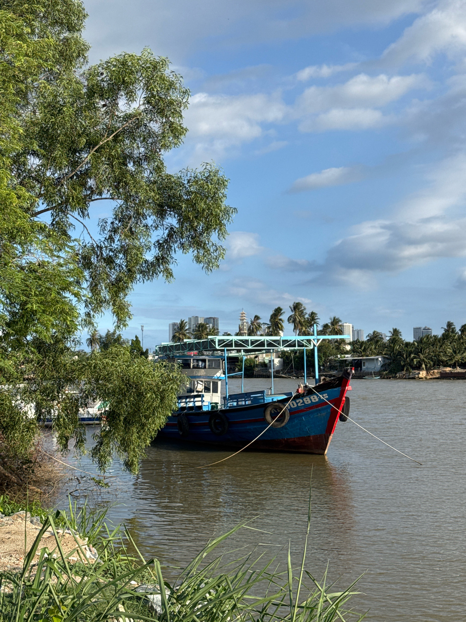 In Nha Trang, Vietnam, a blue and red boat is docked on a wide, calm river, its bow facing the viewer. The boat features a weathered blue hull with a red trim along the bow. A number, "0288 S," is visible in white on the blue hull. The boat is secured by two white ropes, one extending from the bow and the other from its side, to unseen points on the riverbank.
The river's surface is a murky brown, reflecting the sky and surrounding foliage. On the left bank, lush green trees with dense foliage hang over the water, their branches dipping towards the river. The ground along the bank is a mix of sand and stones, with some sparse vegetation.
In the background, across the river, a city skyline is visible. Tall buildings and structures suggest an urban area. Palm trees are scattered amongst the buildings, indicating a tropical or subtropical climate. Several other boats are moored along the far bank, and a pale green and blue structure, possibly a canopy or a different boat, is partially visible behind the main subject. The sky above is a clear blue, dotted with fluffy white clouds, suggesting a pleasant day. The overall scene depicts a tranquil waterfront setting in an urban environment.