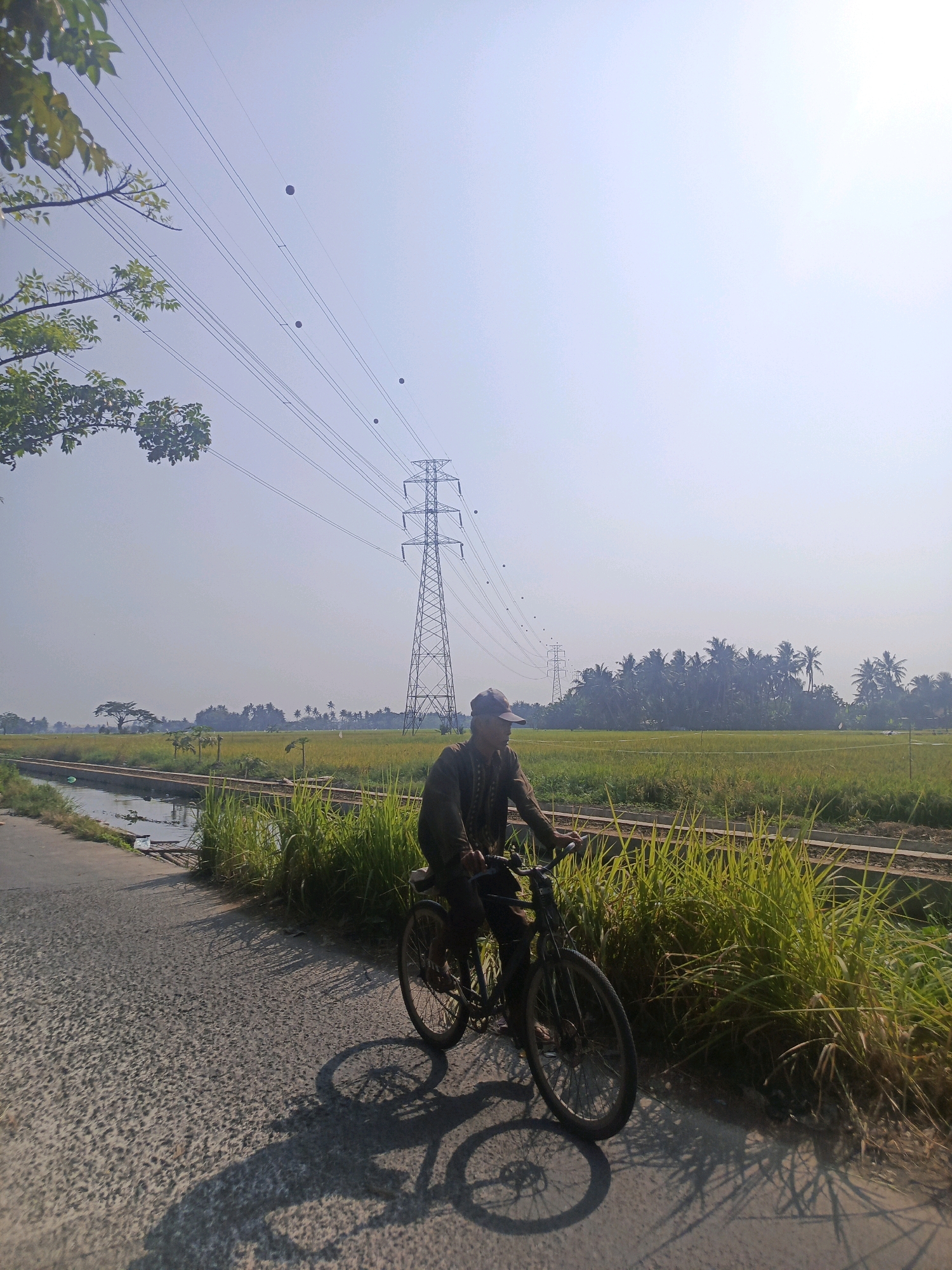 A person rides a bicycle on a paved road next to a grassy embankment and a body of water. In the background, a vast, green field stretches towards a line of trees. Towering electrical pylons and power lines dominate the sky. The scene appears to be in Rawa Boni, Indonesia, evidenced by the typical tropical landscape featuring rice paddies and palm trees. The time of day is indicated by the long shadows cast by the bicycle and its rider.