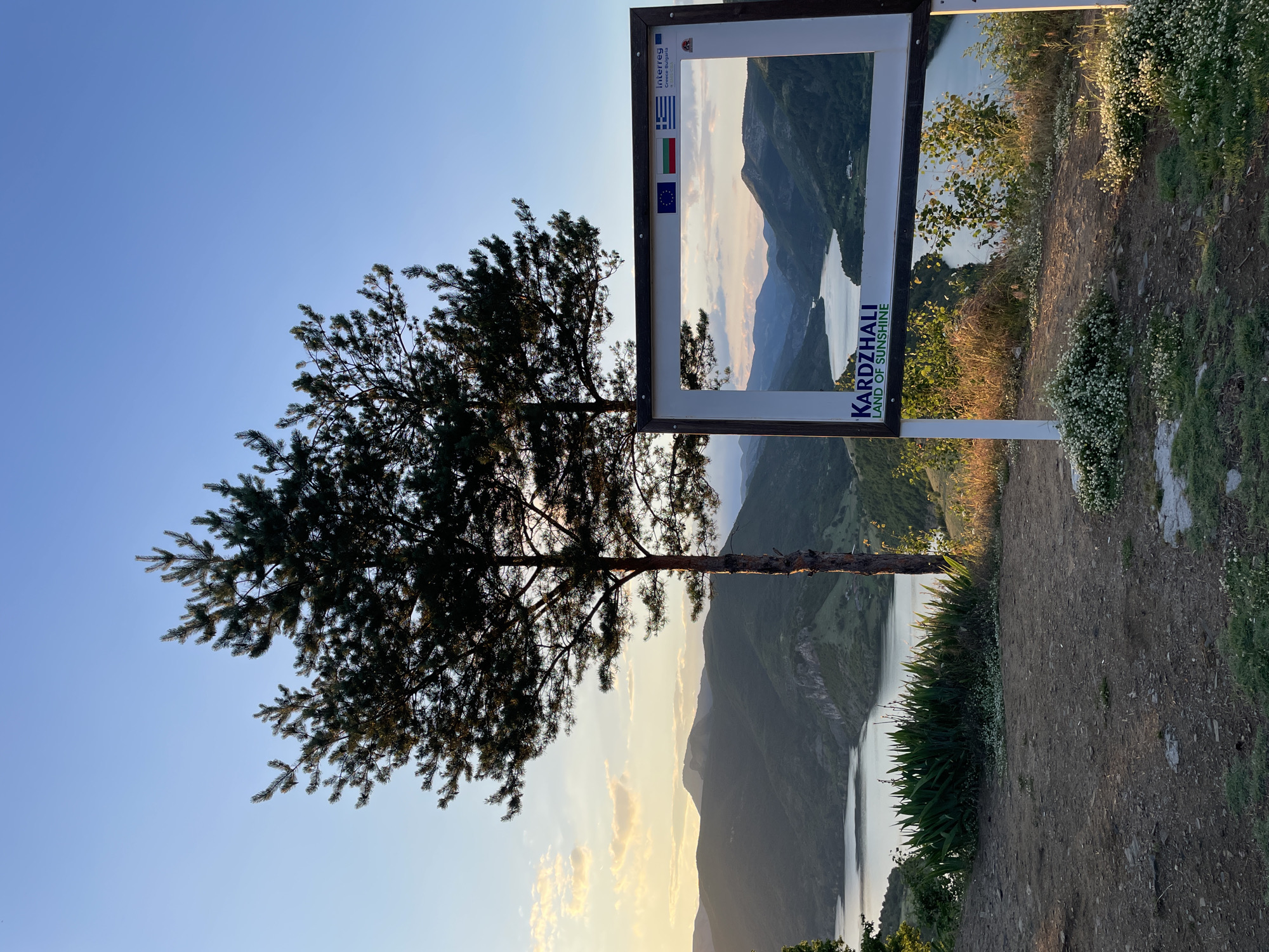 The image depicts a scenic viewpoint in Ribartsi, Bulgaria, overlooking a winding river or reservoir bordered by lush, green mountains under a clear blue sky. In the foreground, two mature pine trees stand tall on a dirt and grass embankment. To the right, a large, rustic wooden frame is positioned, serving as an intentional viewing portal to the landscape beyond. This frame is adorned with flags of the European Union, Bulgaria, and Greece, along with the text "Interreg Greece-Bulgaria" and a smaller crest. Below the frame, the words "KARDZHALI LAND OF SUNSHINE" are visible. Small white wildflowers dot the ground around the frame and the embankment. The lighting suggests either early morning or late afternoon, with the sun casting warm hues on the distant mountains and illuminating the scene. There are no people visible in the image.