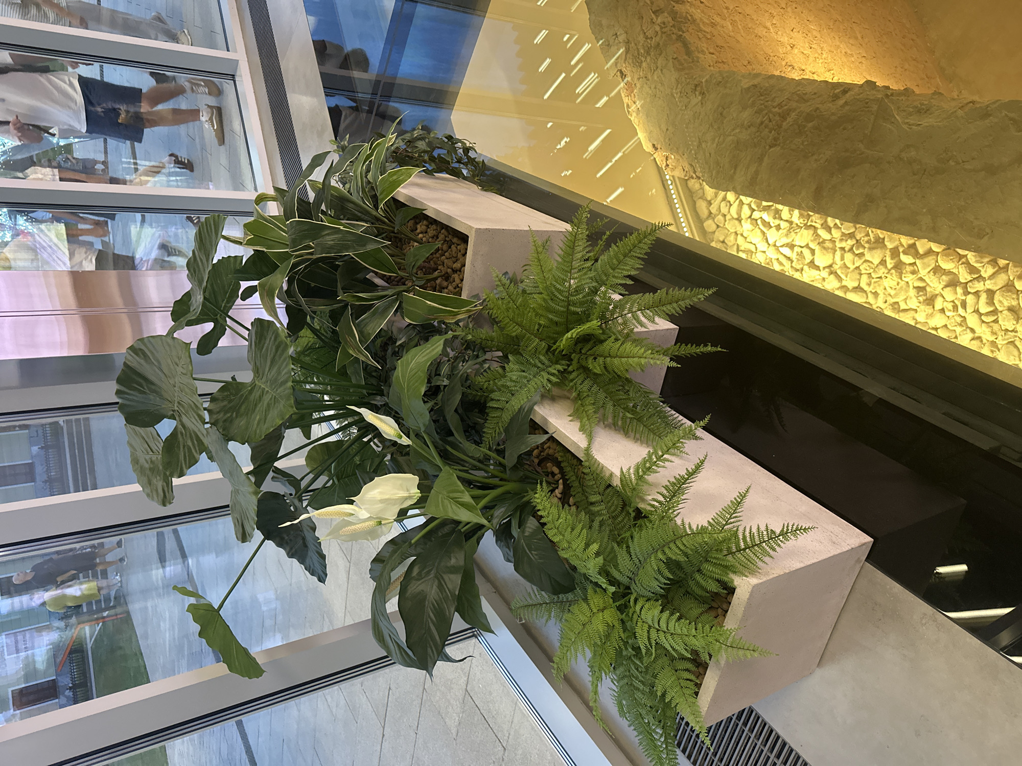 The image shows an indoor planter with several green plants, including ferns and what appears to be a peace lily with white flowers. The planter is a light gray rectangular box made of a rough material, possibly concrete. In the background, through a large glass window, there are reflections of people walking in an outdoor urban setting. The architecture visible through the window suggests a modern building with a glass facade. The outdoor scene appears to be a public space with paving stones and some architectural elements. The lighting in the foreground is subdued, while the background through the glass is brighter and shows daylight. The scene does not provide specific details to ascertain the location within Nizhny Novgorod, Russia.