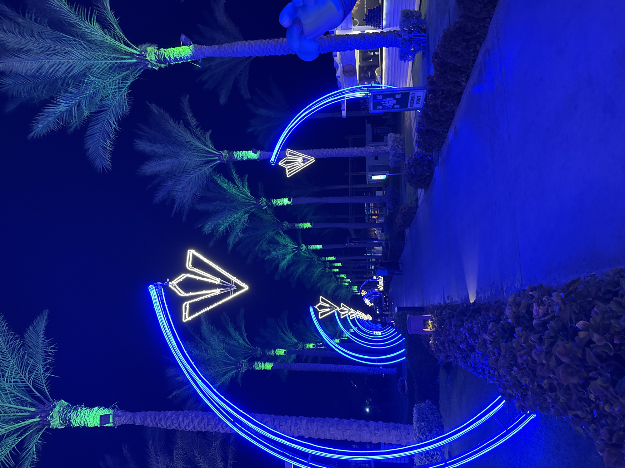 The image depicts a pathway lined with palm trees illuminated by blue neon arches and white neon decorative elements. The scene is set at night, with the sky appearing as a dark navy blue. Some of the palm trees are lit with green lights, particularly around their trunks.
The pathway is paved and appears to be an outdoor walkway, possibly in a resort or public area. There are people visible in the distance walking along the path. To the right of the pathway, there are low-lying bushes and some structures that are partially illuminated. A sign with the text "ASSEMBLY POINT" and an icon of people is visible on a post. The overall ambiance is festive and illuminated, suggesting a nighttime event or attraction.
The location is identified as Unknown, Egypt.