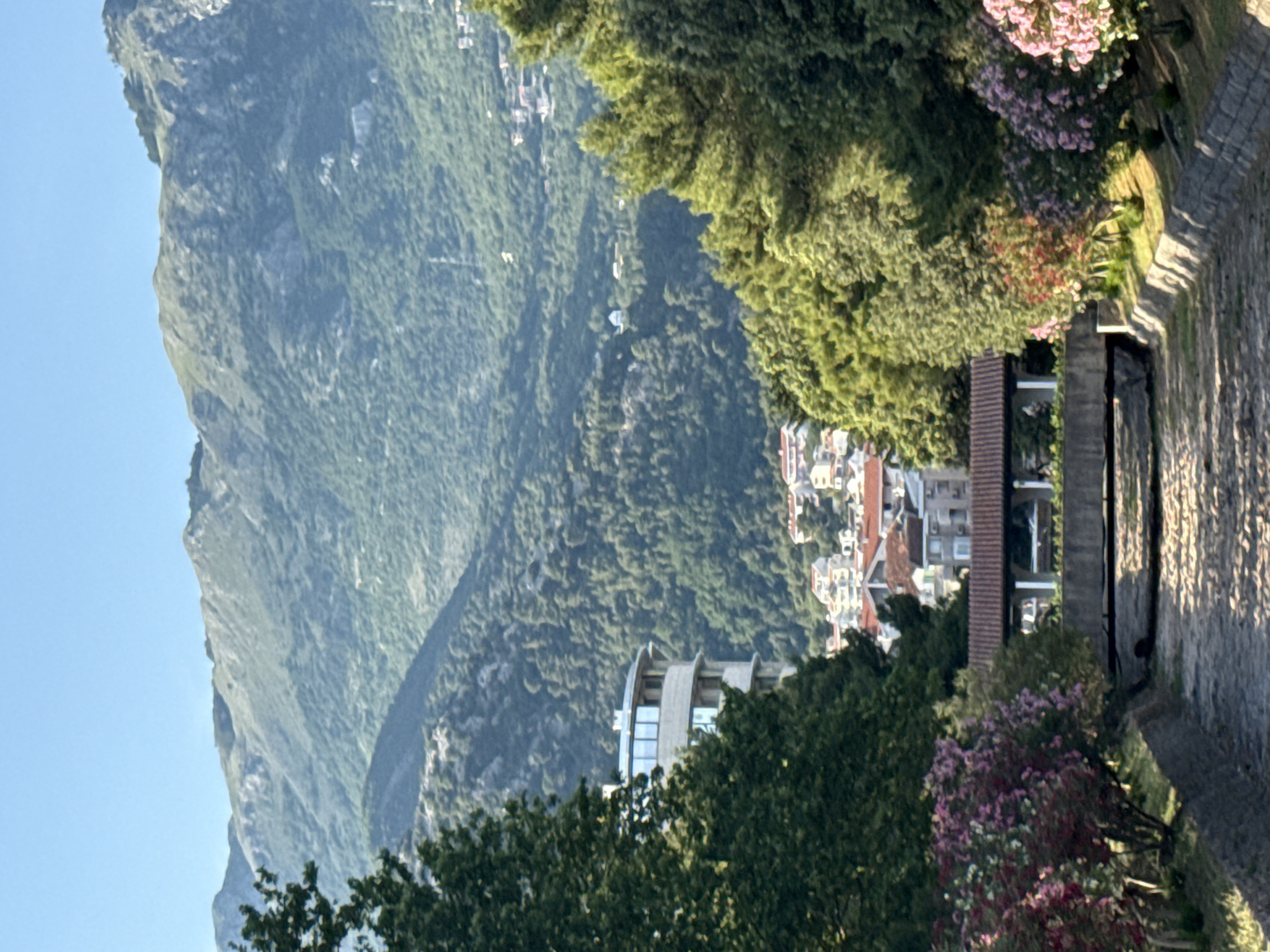 This image captures a panoramic view of a lush mountainous landscape and a coastal town, likely Budva, Montenegro, under a clear blue sky. The perspective suggests an elevated viewpoint, possibly from a garden or terrace.
In the immediate foreground, vibrant green foliage and flowering bushes, predominantly in shades of pink and purple, frame the lower and right portions of the scene. A textured stone wall or pathway, partially shadowed and sunlit, runs along the right edge, adding depth to the foreground.
The midground reveals a sprawling town or city nestled into the undulating terrain. Numerous buildings with traditional red-tiled roofs are visible, interspersed with modern architectural elements, such as a distinctive curvilinear building with large glass windows. These structures are scattered among dense green trees and vegetation that cover the hillsides.
Dominating the background are majestic, rugged mountains with deeply creased slopes. They are heavily forested with varying hues of green, showcasing the rich biodiversity of the region. The mountains extend far into the distance under a bright, cloudless sky, creating an expansive and serene backdrop.
The time of day is bright and sunny, indicated by the clear blue sky and the distinct shadows cast on the stone wall. No people or visible text are present in the image. The overall scene conveys a sense of natural beauty and a picturesque Mediterranean urban environment.