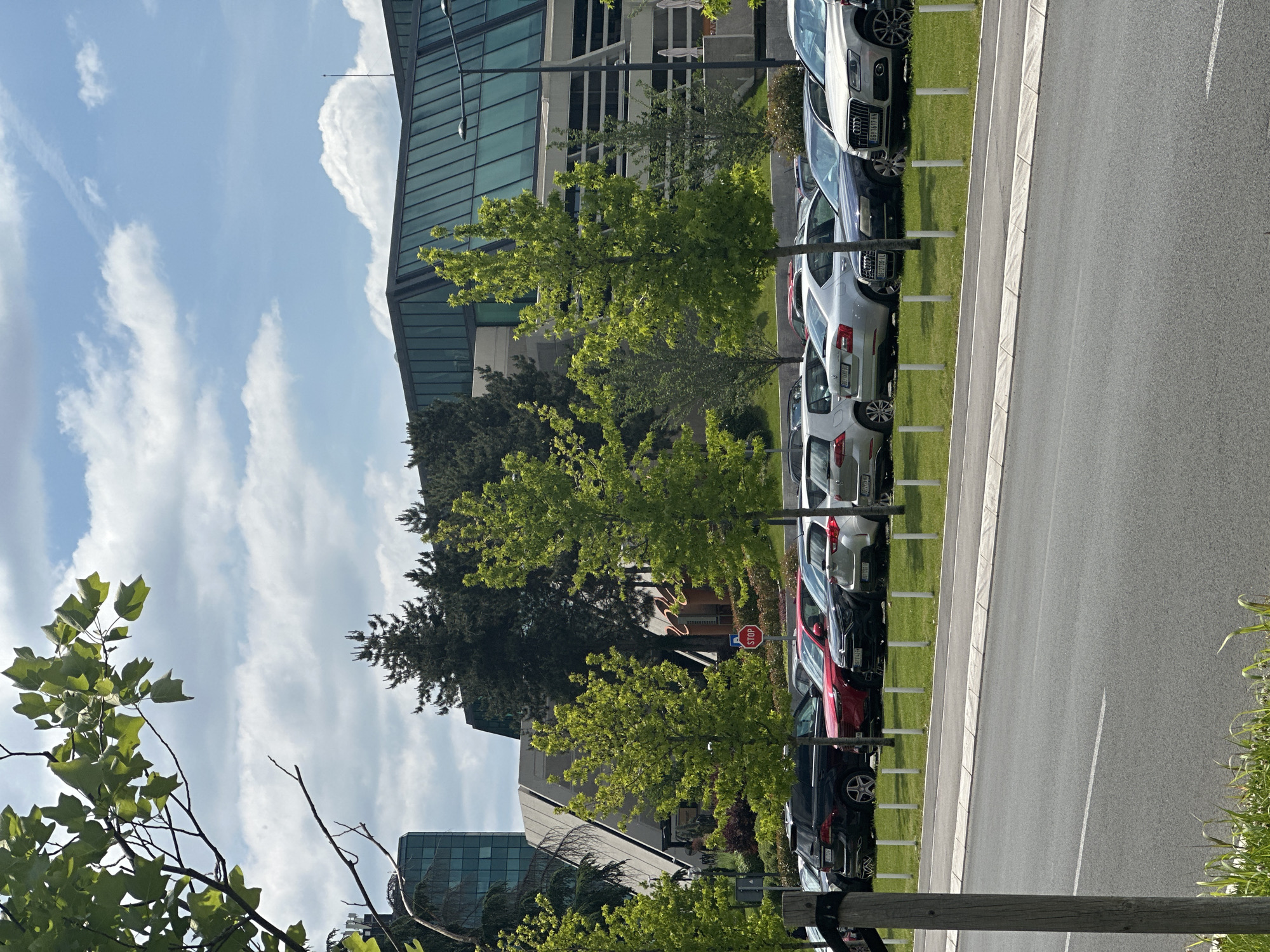 The image depicts an outdoor scene in Belgrade, Serbia, showing a row of parked cars along a street. The cars are parked on the side of the road adjacent to a grassy strip with young trees planted along it. The trees are positioned between the cars and the road. Beyond the cars and trees, there are modern buildings with glass facades. The sky is visible with some clouds present. A stop sign is located near a red car. The angle of the shot implies that it's from the ground level.