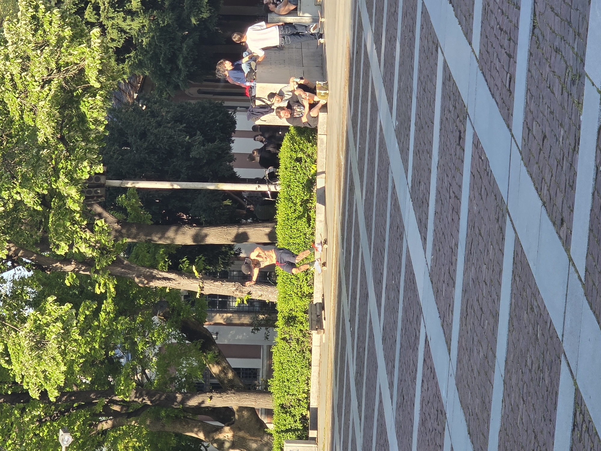 The image, originally rotated 90 degrees clockwise, presents an outdoor scene in what appears to be an urban park or plaza during late afternoon or early evening. The warm, directional sunlight casts clear shadows, indicating a sunny day.
In the immediate foreground, a shirtless man wearing dark shorts and a cap is seen bending over a skateboard on a paved pathway. He appears to be engaging with the skateboard, possibly adjusting it or preparing for an activity. To his left, a neatly trimmed green hedge runs horizontally across the frame.
Behind the hedge, on a low wall or ledge, a group of several young people are gathered. One individual in a white t-shirt and dark jeans stands near another skateboard. Others are seated or standing casually, with one person holding a drink or bottle. Backpacks are visible near some of the sitting figures, suggesting a relaxed social gathering.
The background is dominated by large, leafy green trees with prominent trunks, which partially obscure multi-story buildings, hinting at a city or town environment. The ground is paved with a distinctive pattern of dark grey or brown cobblestone-like blocks, intersected by lighter blue-grey stripes forming a geometric grid. No visible text is present in the image. The overall mood is casual and leisurely.