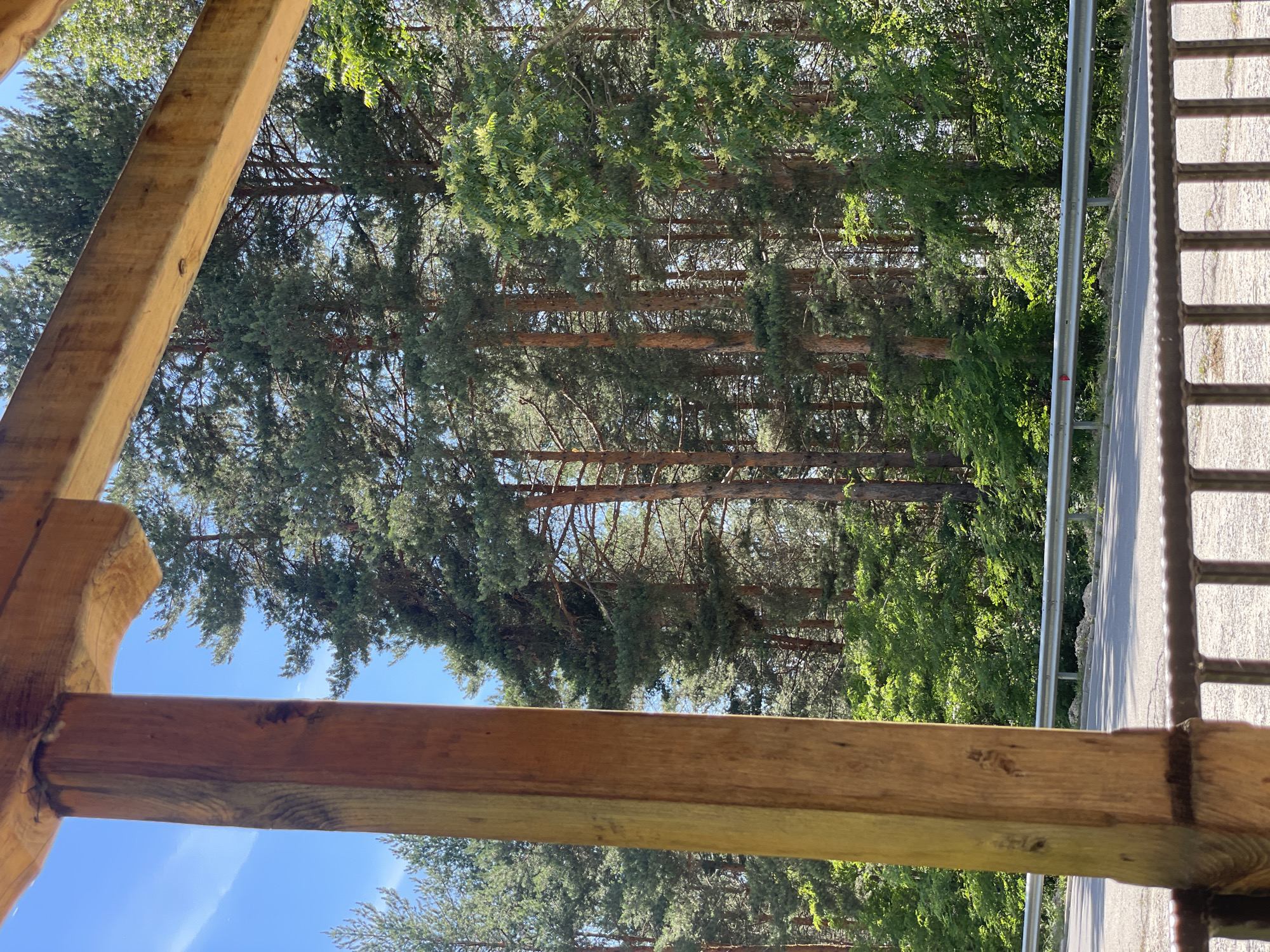 The image shows a view of a pine forest and a road, taken from behind a wooden structure. The wooden structure, which appears to be a porch or gazebo, is in the foreground on the left side of the image, with a wooden beam spanning across the top. The forest is dense with tall pine trees and some deciduous trees. A road with a metal guardrail runs along the edge of the forest. The sky is clear and blue. Based on the image, the scene is likely located in a rural or natural setting, such as a park or a forest reserve, within or near the city of Valkosel, Bulgaria.