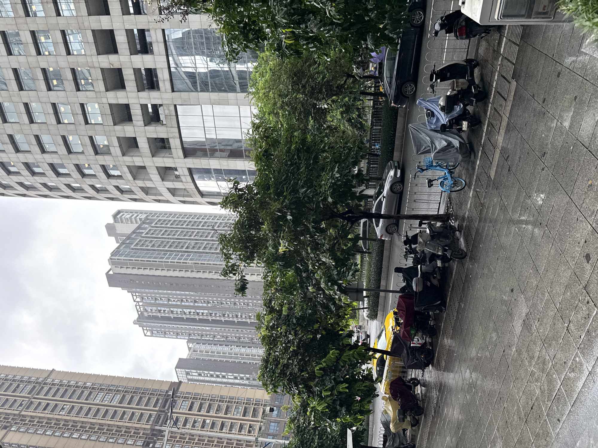 In Tianhe District, China, on a cloudy day, a street scene unfolds with a focus on parked motorcycles and a bicycle along a wet sidewalk. Several motorcycles are covered with tarps, suggesting a period of non-use. One blue bicycle is also visible. The sidewalk is paved with square tiles and shows evidence of recent rain, with puddles and reflections. Behind the sidewalk, a street separates the pedestrian area from a line of trees. Beyond the trees, a busy road is present, with several cars, including a yellow taxi, moving through the traffic. In the background, tall, modern buildings dominate the skyline. These include a rounded, concrete-clad office building with many square windows, and several high-rise residential buildings with a more uniform facade. The overall impression is an urban environment experiencing overcast weather.