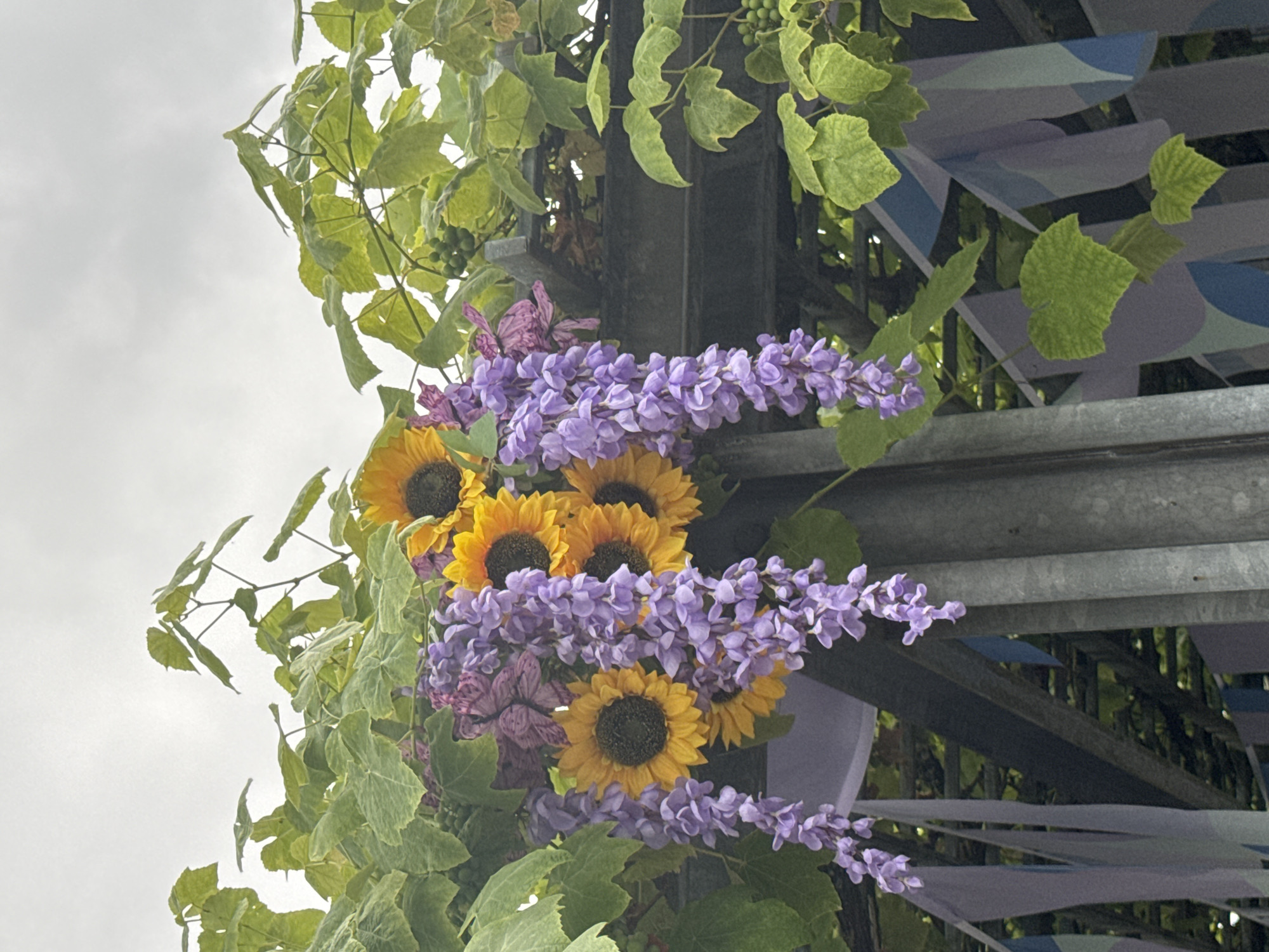 The image shows a close-up of a floral arrangement of sunflowers and purple wisteria hanging from a wooden structure. The sunflowers are bright yellow with dark centers, and the wisteria cascades in delicate purple clusters. Green vines and leaves surround the flowers, suggesting an outdoor setting. In the background, there is a gray, overcast sky. The scene is likely part of an outdoor decoration or event, possibly in a garden or park. No specific location in Vancouver, Canada can be identified from the image.