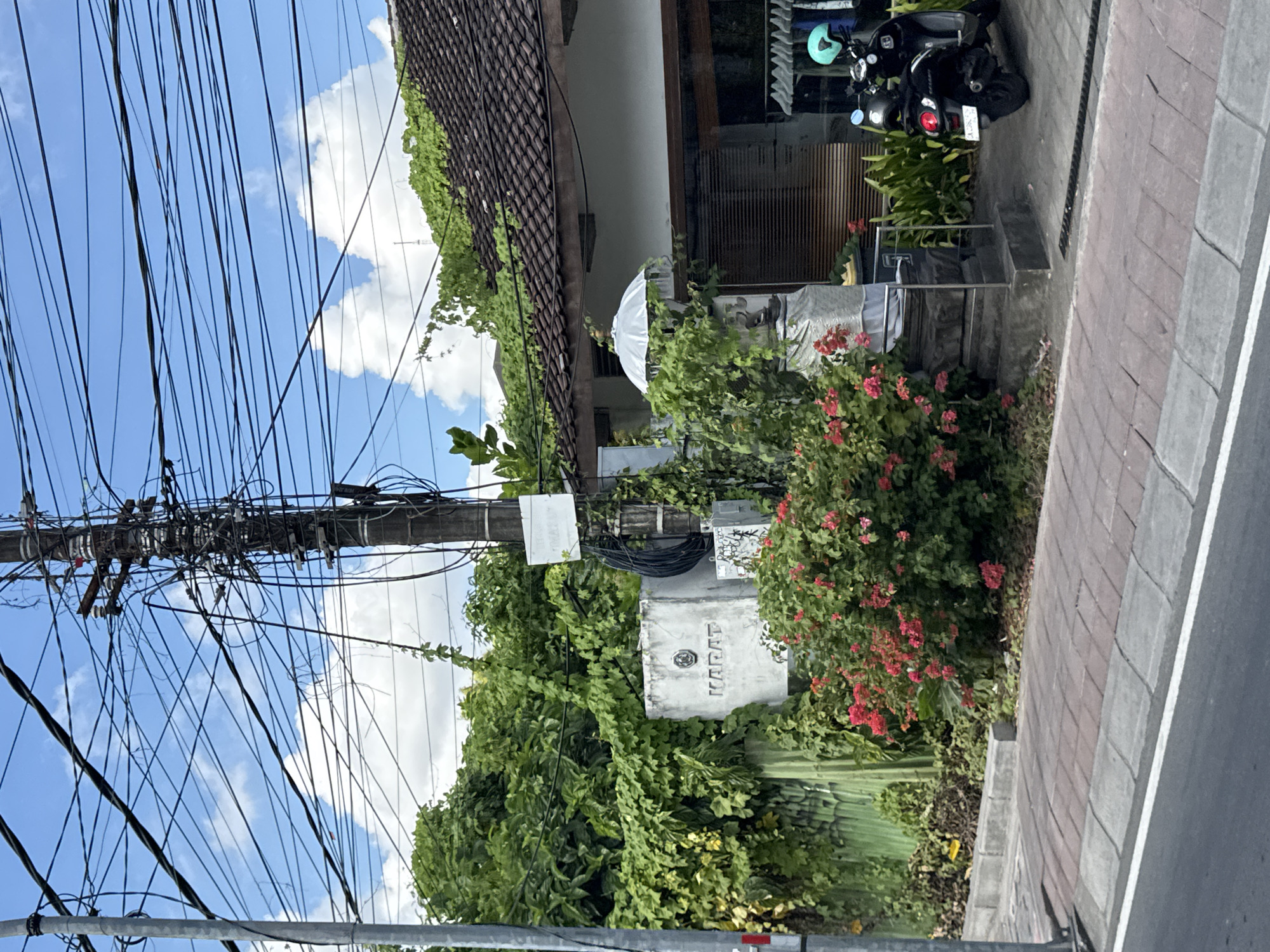 The image captures a vibrant street scene in North Kuta, Indonesia, on a clear, sunny day. The sky is bright blue with scattered white clouds. A prominent feature is a utility pole on the left, from which numerous black electrical and communication wires extend in a dense, tangled network across the frame.
In the midground, a building with a dark, patterned tiled roof is partially visible, largely obscured by lush green vegetation. Vines and bushes with bright red flowers grow abundantly around the building and along the street. A white, possibly fabric, structure, resembling a large umbrella or tent, is nestled among the greenery in front of the building.
A black scooter with a light blue helmet hanging on its handlebars is parked on a paved area next to the building. Its license plate appears to read "P 5908 YCY". Nearby, a white rectangular box, possibly an electrical panel, is mounted on a pole and partially covered by vines. The text "KARAN" is visible on this box, accompanied by a circular emblem below it. A small metal rack stands amidst the flowering bushes. The foreground shows a paved sidewalk made of red and grey bricks, leading to an asphalt road with a clear white line marking its edge. No people or specific activities are visible, presenting a static street view.