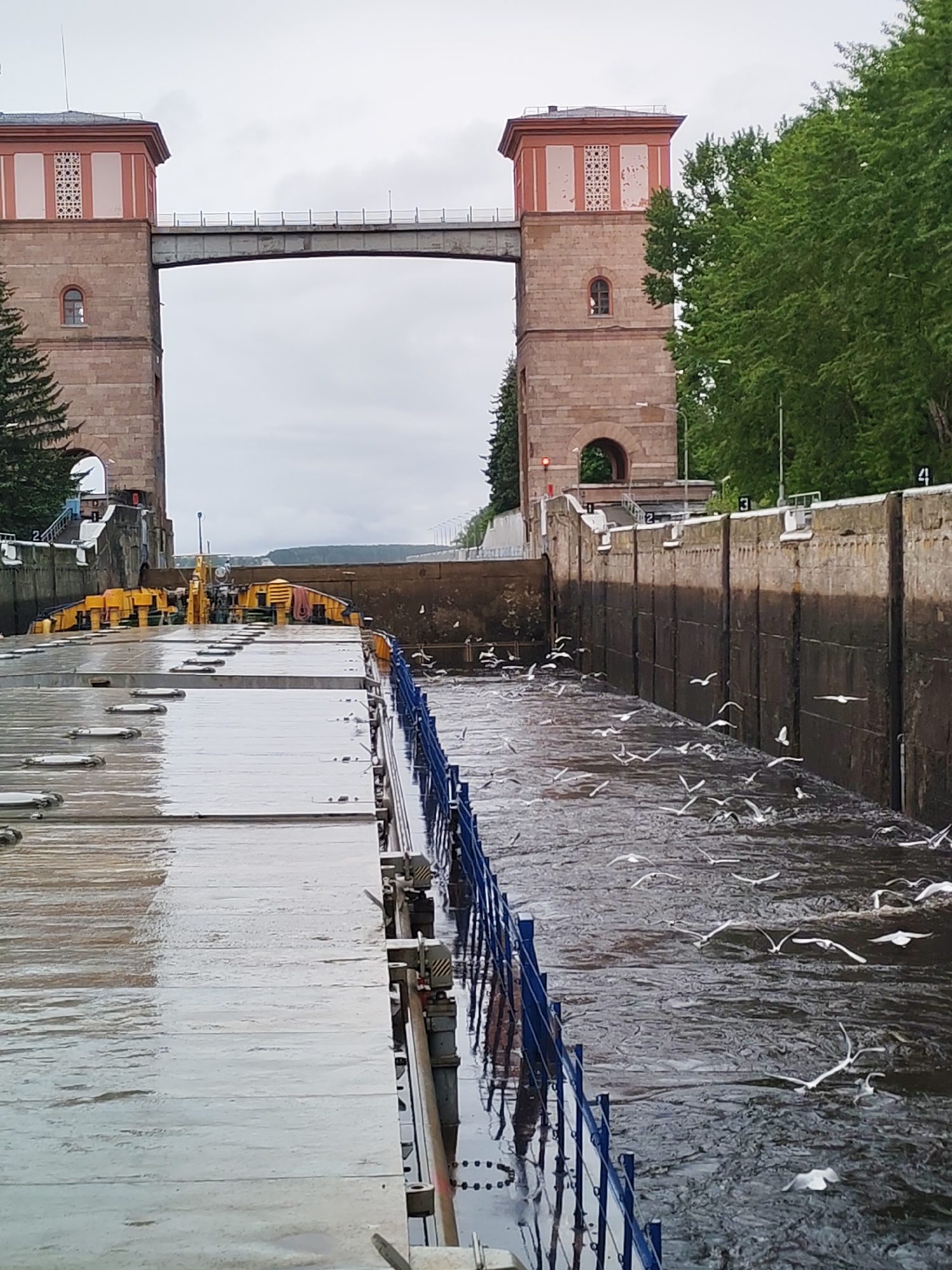 The image depicts a river lock structure with two tall, red-brick towers connected by a bridge. The scene is in Bol'shie Mkhi, Russia. The foreground shows part of a ship deck or lock gate, wet with water. A blue railing runs along the edge. In the river, numerous seagulls are flying and swimming. The river walls are numbered, and the landscape beyond the river consists of trees and a distant hill under a cloudy sky. Yellow machinery is visible beyond the ship deck or lock gate.