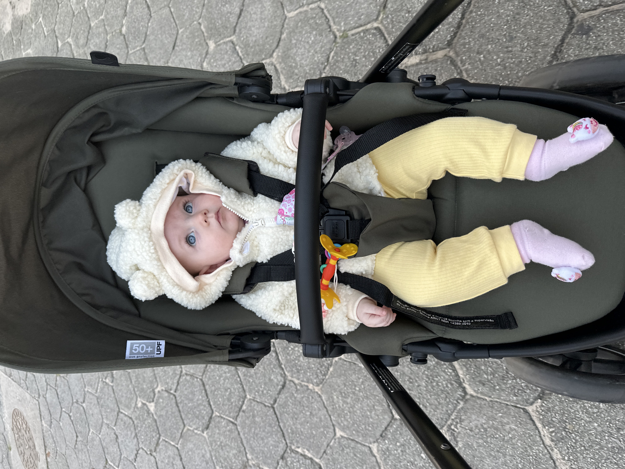 An outdoor medium shot captures a baby with striking blue eyes sitting in a dark green stroller on a sidewalk paved with hexagonal gray stones. The baby is wearing a fluffy white hooded jacket with bear ears, yellow ribbed pants, and light pink socks adorned with floral patterns. A multi-colored toy is attached to the stroller's harness. The scene is devoid of any identifiable landmarks or specific geographical features that would suggest a location within Florianópolis, Brazil.