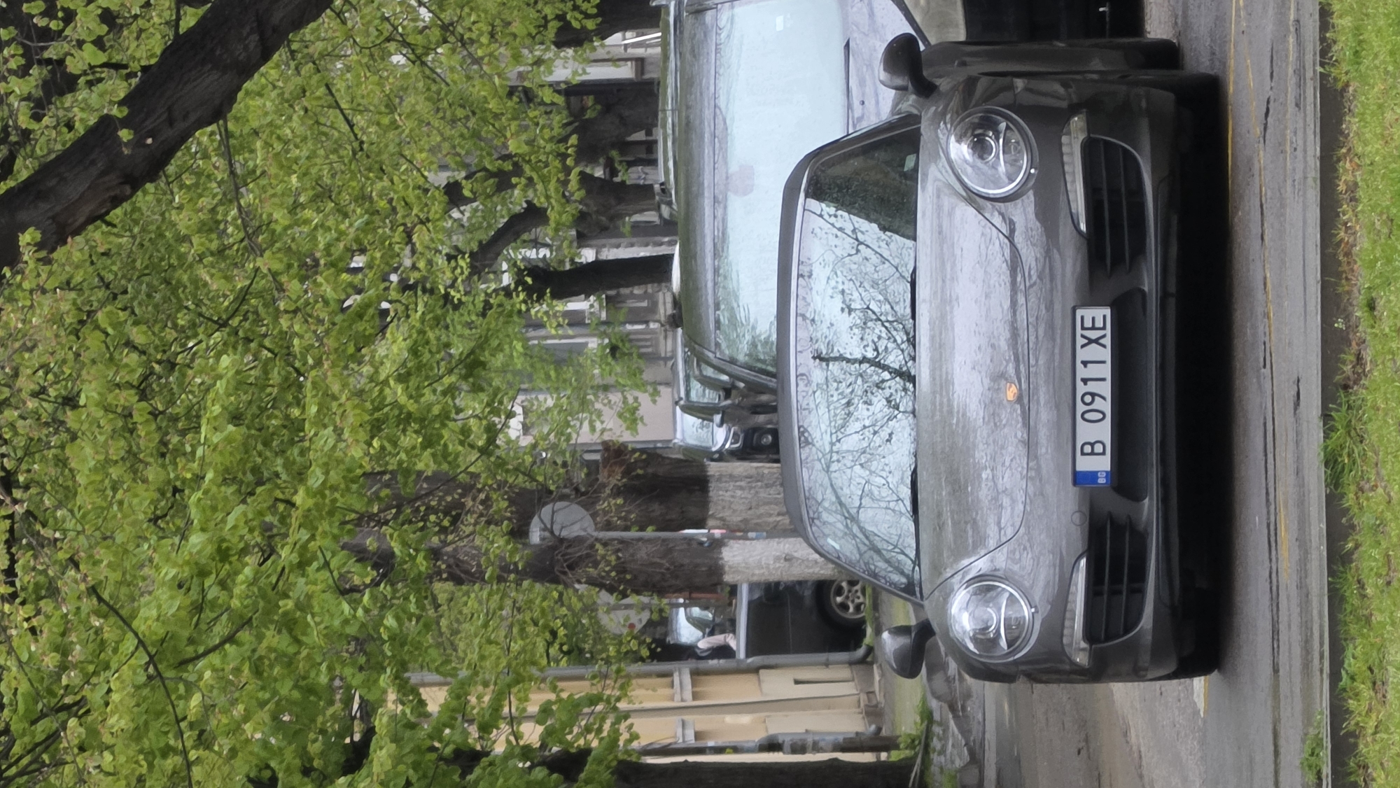 The image displays a street scene, likely in an urban setting during daylight hours, characterized by wet surfaces suggesting recent rain or damp weather. The perspective is rotated, showing the scene as if viewed from above a parked car looking forward.
The primary subject is a dark grey Porsche car, visible from the front-right quarter, parked on a wet asphalt street. Its headlights, front grille, and a significant portion of its hood and windshield are prominent. Reflections of trees and the overcast sky are visible on the car's body and glass. Mounted on the front bumper is a Bulgarian license plate displaying "B 0911 XE" with the "BG" country code on a blue EU strip.
To the left of the parked Porsche and extending through the mid-ground and background are several large trees with dense, vibrant green foliage, indicative of spring or early summer. Their dark, thick trunks are also visible, some appearing partially painted white at the base. These trees line a sidewalk or a grassy strip.
In the background, behind the trees and other less distinct parked vehicles, there are glimpses of multi-story buildings with light-colored facades. The road surface is visibly wet, and subtle yellow markings can be seen along its right edge. The overall atmosphere is quiet and somewhat muted due to the overcast conditions.