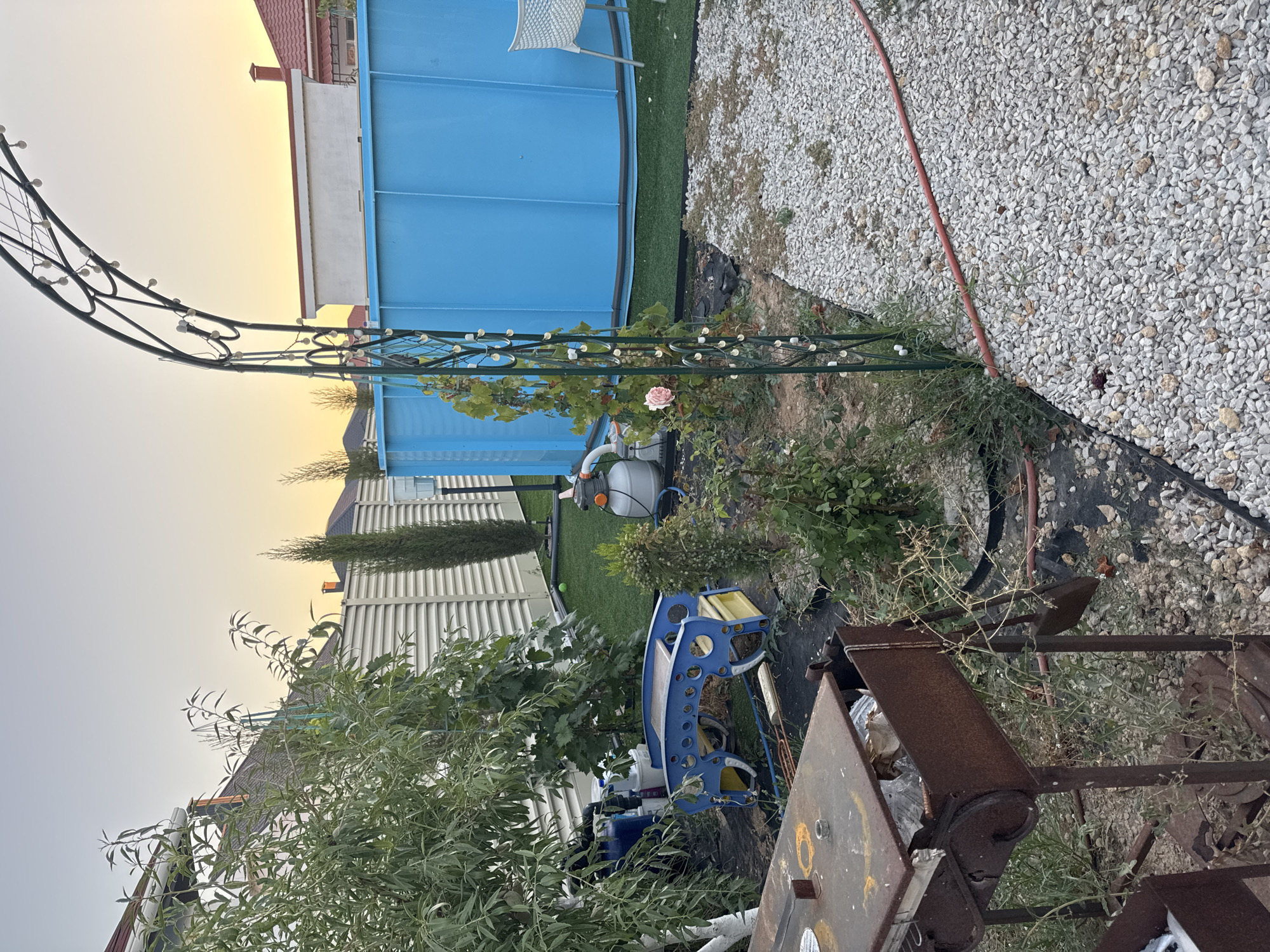 The image depicts an outdoor scene in the city of Uyutnoye, Ukraine, likely a backyard. In the foreground, a rusty, metal barbecue grill is positioned on the left. To the right of the grill is a pathway covered in small, light-colored gravel, with a red hose running along its edge. Beyond the gravel path, a green metal garden archway with string lights is visible. A small pink rose is blooming on a vine climbing the archway. Behind the archway, a large, bright blue above-ground swimming pool is situated on a patch of artificial green turf. To the left of the pool, a pump and filter system is visible. In the middle ground, a blue and yellow children's play structure is present, surrounded by greenery. Various plants and bushes are scattered throughout the scene. The background features residential buildings with tiled roofs and a light-colored fence. The sky is a soft gradient of pale orange and yellow, suggesting either sunrise or sunset. No people are present in the image.