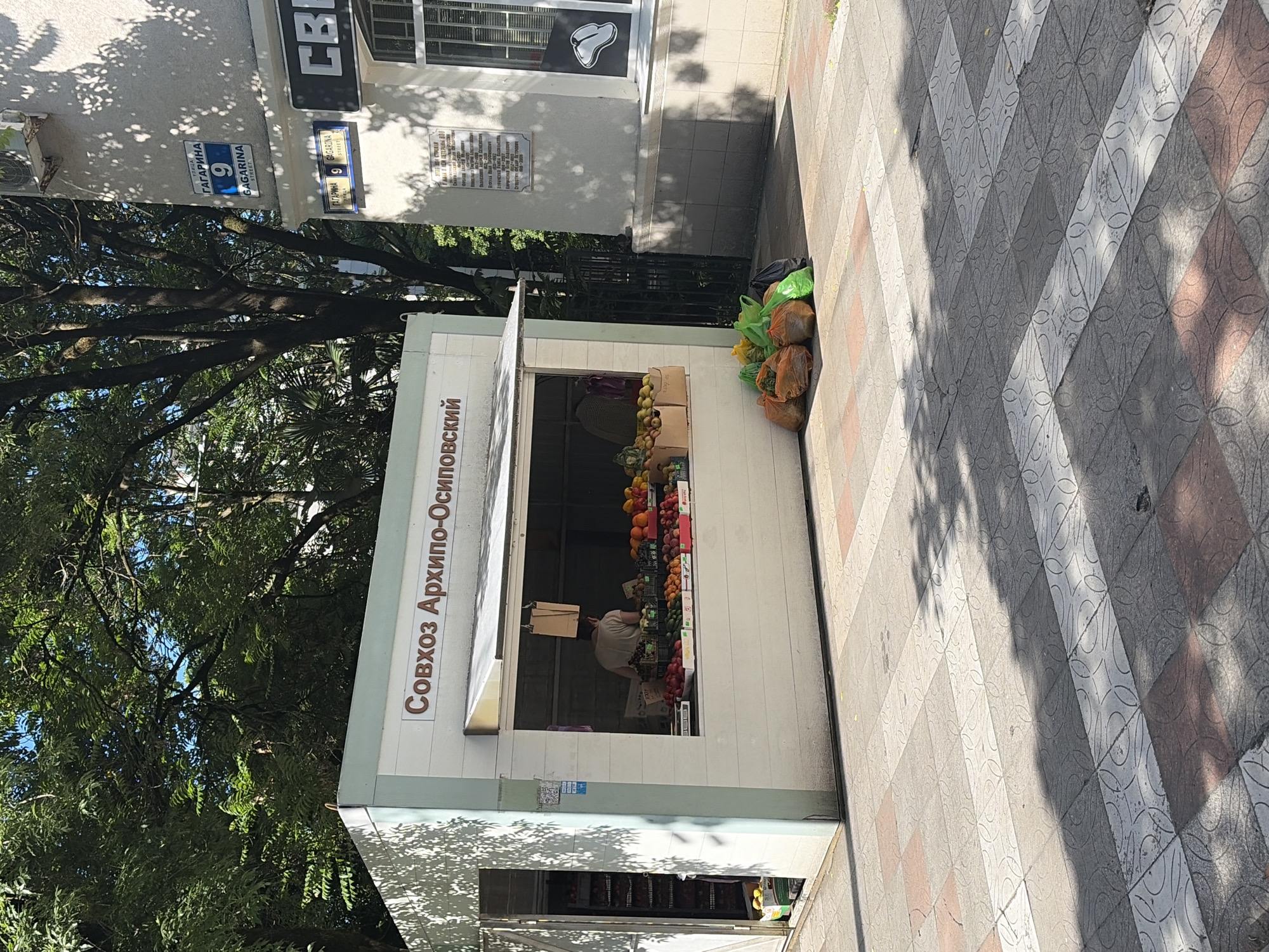 This image depicts a sunny outdoor scene on Gagarin Street, building number 9, in Sochi, Russia.
The primary subject is a small, light-colored, single-story fruit and vegetable stand, constructed of horizontal panels, with an awning extended over its main service window. The stand displays an array of fresh produce including apples, oranges, grapes, pomegranates, and various vegetables. Inside the stand, a person wearing a light-colored shirt is visible from behind, appearing to arrange merchandise. An open doorway on the left side of the stand reveals additional crates of produce stored within. Above the service window, the text "Совхоз Архипо-Осиповский" (State Farm Arkhipo-Osipovsky) is prominently displayed in brown lettering. On the ground outside the stand, several plastic bags filled with produce or waste are piled.
Adjacent to the fruit stand, on the right, is a light-colored, multi-story building. Mounted on its exterior wall are two blue street signs. The upper sign reads "УЛИЦА ГАГАРИНА 9" and "GAGARINA STREET", while a smaller lower sign also shows "ГАГАРИНА 9" and "GAGARINA STREET". Below these signs, a rectangular plaque with Russian text is affixed to the wall. A window with blinds and a distinctive white outline of a steak or meat cut is visible on the lower section of the building. An air conditioning unit is mounted high on the building's wall.
The ground consists of a paved sidewalk featuring square tiles with an embossed circular pattern, in shades of grey, white, and reddish-brown. Overhead, dense green foliage from large trees casts intricate shadows across the sidewalk and the front of the fruit stand. A dark metal fence or gate is partially visible between the fruit stand and the adjacent building. The scene is brightly lit by sunlight, indicated by the strong, distinct shadows.
