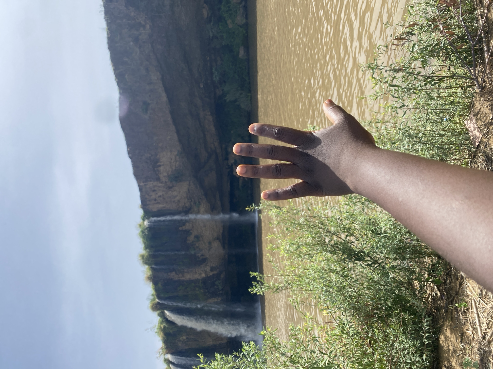 The image, correctly oriented, presents a first-person perspective of a natural landscape in Kukum, Nigeria, with a person's right arm and hand extended into the scene from the right foreground. The hand is open, with fingers slightly spread, and displays a dark skin tone, brightly illuminated by direct sunlight.
In the middle and background, a series of waterfalls cascade down a tall, rugged, rocky cliff face. The water appears white and foamy as it plunges, while the cliff itself is a mix of dark rock and sparse green vegetation. Below the waterfalls, a wide body of murky brown water, likely a river or lake, stretches across the scene, reflecting bright sunlight in numerous shimmering patterns.
The immediate foreground on the right side of the image is filled with vibrant green bushes and foliage, growing along the bank of the water body. Above the cliff and waterfalls, a clear, light blue sky is visible. The scene is bathed in bright daylight, suggesting either morning or afternoon with fair weather. There is no visible text in the image.