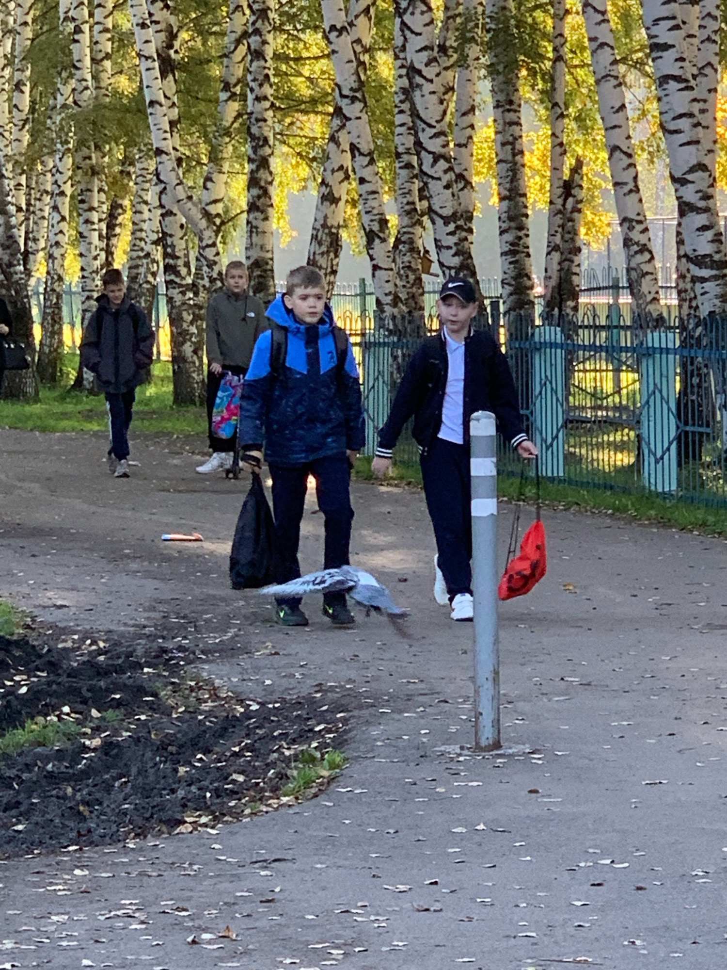 In Prokopyevsk, Russia, a group of school-aged children walk along a paved path bordered by birch trees with a blue metal fence in the background. The children are dressed in outerwear, suggesting a cool climate. Two boys in the foreground walk from right to left. The boy on the right wears a dark jacket with white trim, dark pants, and a baseball cap. He carries a bright red bag. The boy to his left wears a blue and black jacket, dark pants, and is carrying a large black bag. A pigeon is on the path in front of them, appearing to peck at something on the ground. Further back, two other children, one in a dark jacket and the other in a green jacket, are also walking away from the camera. The ground is covered with scattered leaves, and there is a patch of dark soil with sparse grass to the left of the path. The lighting suggests it is daytime, possibly in the afternoon, with sunlight filtering through the leaves of the trees.