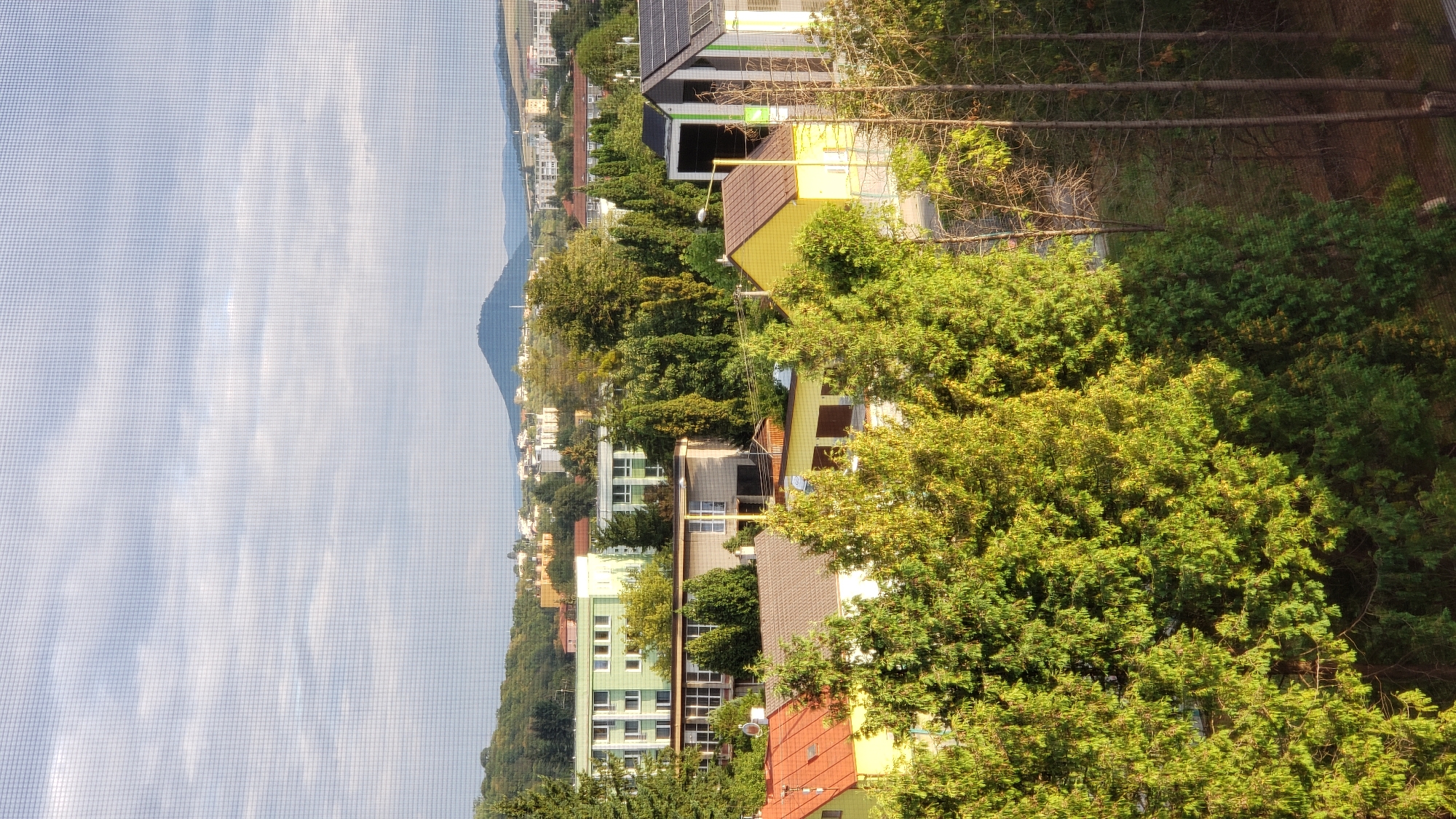 The image depicts a suburban landscape with a view of a distant hill and city buildings in Prešov, Slovakia. In the foreground, there are numerous coniferous trees with vibrant green foliage, some of which are illuminated by sunlight. Behind the trees, several houses are visible, including one with a red tiled roof and another painted yellow with a brown roof. Further back, there are larger buildings, including a multi-story light green structure and other residential or institutional buildings. In the background, a distinctive cone-shaped hill dominates the horizon, with a town or city spread out in front of it. The sky is partly cloudy with a hazy quality, suggesting it might be early morning or late afternoon. The image appears to have been taken through a screen or netting, as a grid pattern is visible across the entire frame. There are no people or visible activity in the scene.