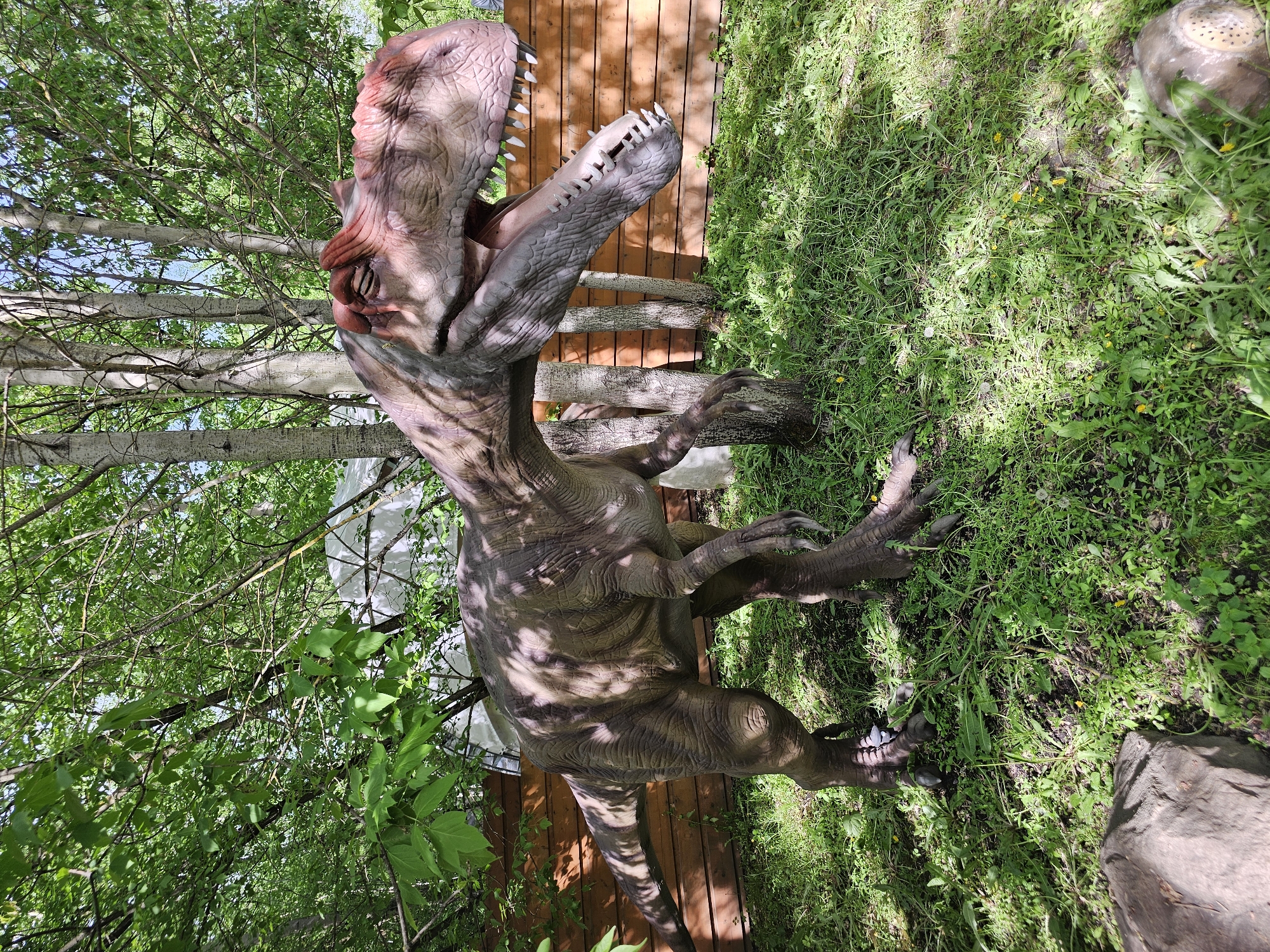 A life-sized, stationary replica of a Tyrannosaurus Rex stands in a grassy area adjacent to a wooden fence and birch trees. The model has mottled brown and grey skin with a red head, and its mouth is open, revealing teeth. The scene appears to be located outdoors in a park or recreational area, possibly in the city of Khimki, Russia, though this is not explicitly confirmed visually. The photo is taken from a slightly low angle and includes dappled sunlight filtering through the trees. No people are visible.