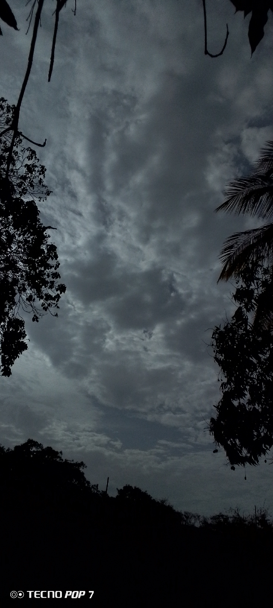 The image shows a cloudy sky above a landscape of trees and vegetation. Silhouetted tree branches are visible on the left and right sides of the frame. In the foreground, the land is dark and indistinct. The clouds are predominantly grey, suggesting an overcast day. The photo appears to be taken with a "Tecno Pop 7" mobile device, as indicated by the watermark. I do not know the location of the city of Altagracia, Venezuela, but the plants appear to be of tropical or subtropical variety.