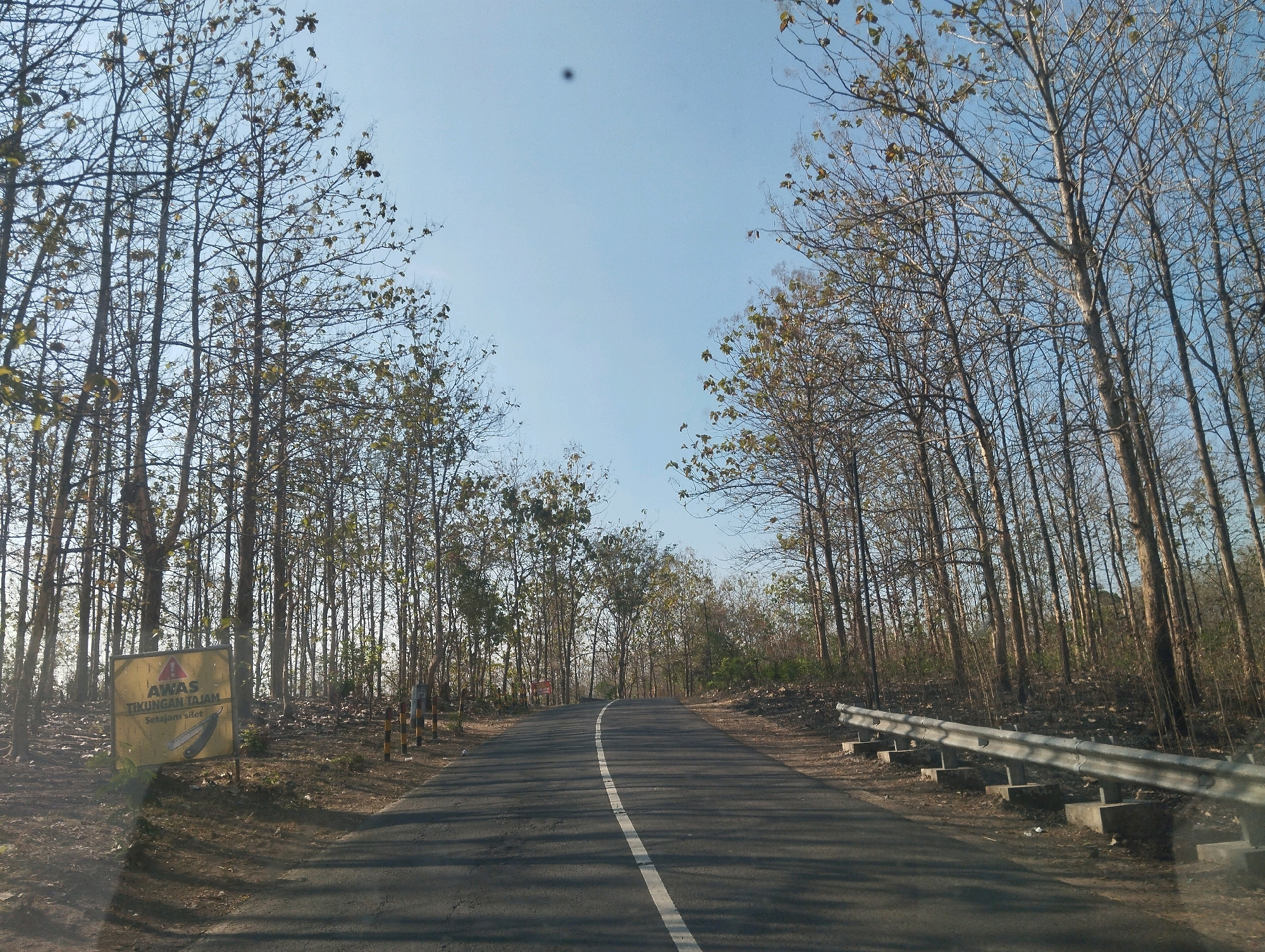 The image depicts a road curving through a dense forest of teak trees in Sambi Kerep, Indonesia. The trees are mostly bare, with some sparse yellowing leaves clinging to their branches, suggesting a dry season. The road is asphalt with a white line marking the center. On the left side of the road, a yellow warning sign with red lettering and a graphic of shears is visible. The sign reads "AWAS TIKUNGAN TAJAM" which translates to "CAUTION SHARP BEND." A metal guardrail lines the right side of the road. The sky is clear and blue with a dark circular anomaly, possibly a lens flare or dust on the camera. The ground is covered in dry leaves and soil. The overall scene is rural and somewhat desolate due to the leafless trees. There are no people or vehicles visible in the frame.