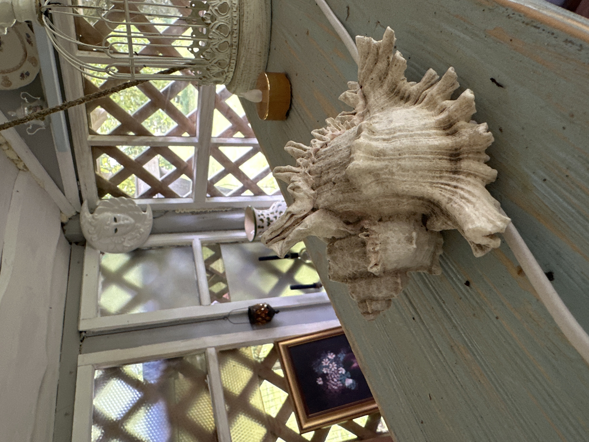 This image captures a close-up view of a large, ornate seashell resting on a pale blue, weathered wooden surface. The seashell is a prominent subject, its textured surface and intricate details clearly visible. To the right of the seashell, a small, gold-colored candle with a flickering LED light sits on the same wooden surface. Further back, through a lattice-patterned window, the soft green of foliage is visible, suggesting an outdoor or semi-outdoor setting.
The backdrop reveals more of the environment, including white lattice window frames and a decorative white birdcage, hinting at a whimsical or decorative setting. On the far left, a framed picture of a floral arrangement is partially visible. The overall lighting is soft and diffused, casting gentle shadows. The scene appears to be indoors or in a sheltered outdoor space, with elements suggesting a decorative arrangement or a still life composition. The location is specified as Norviliškės, Lithuania.